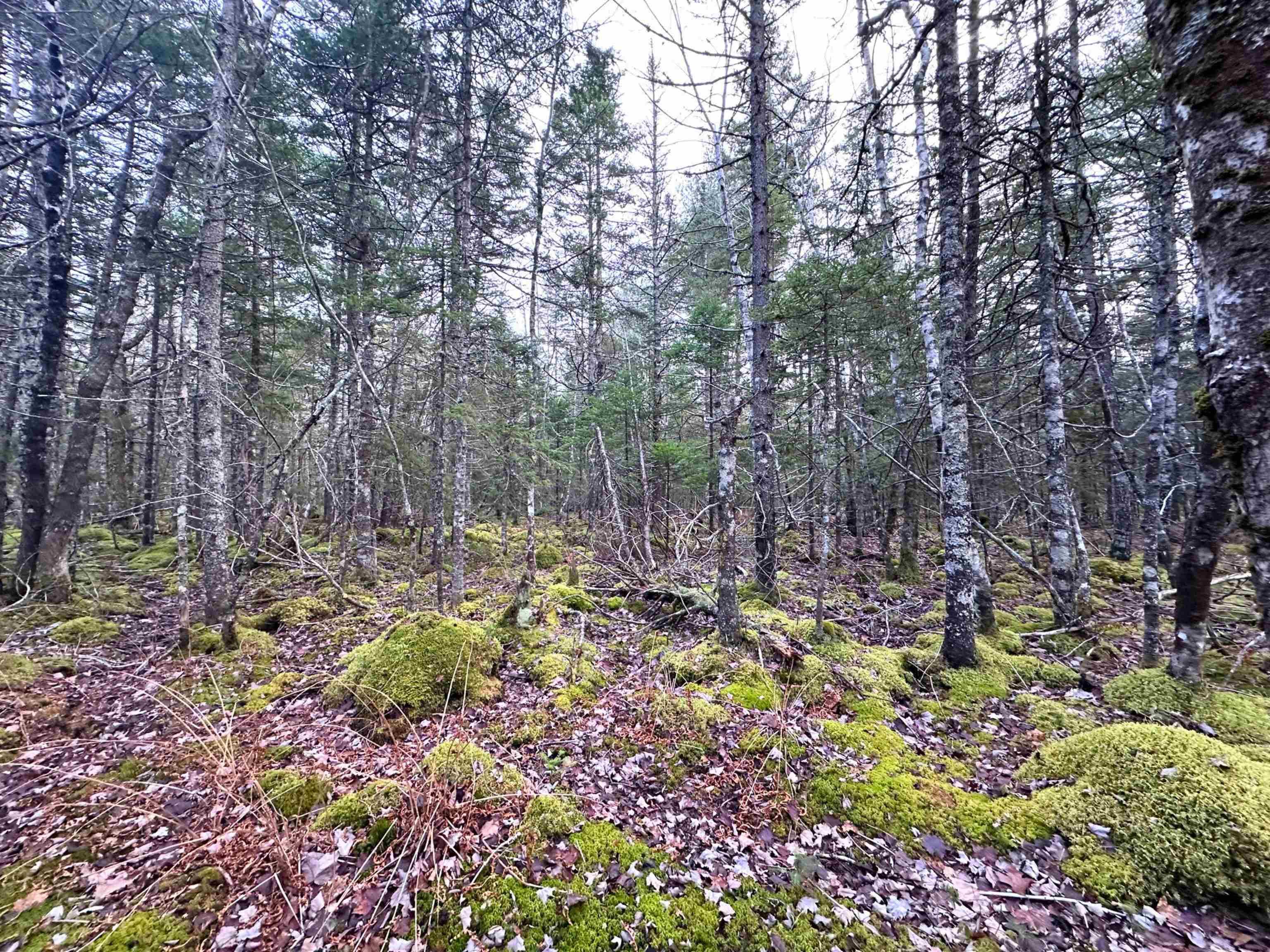 $34,000.00: Lot 22 Ernest Marion Drive, Laconia