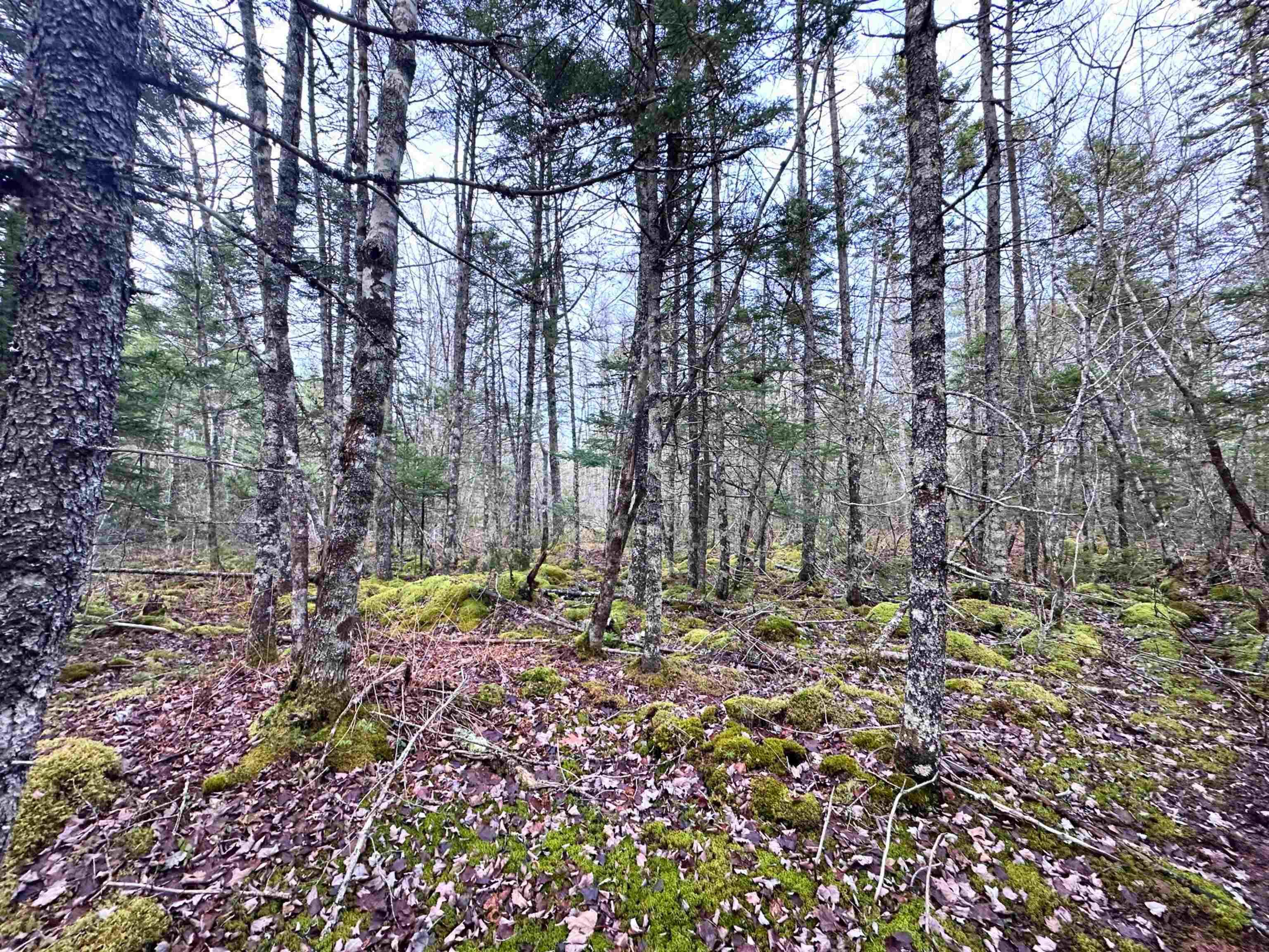 $34,000.00: Lot 22 Ernest Marion Drive, Laconia