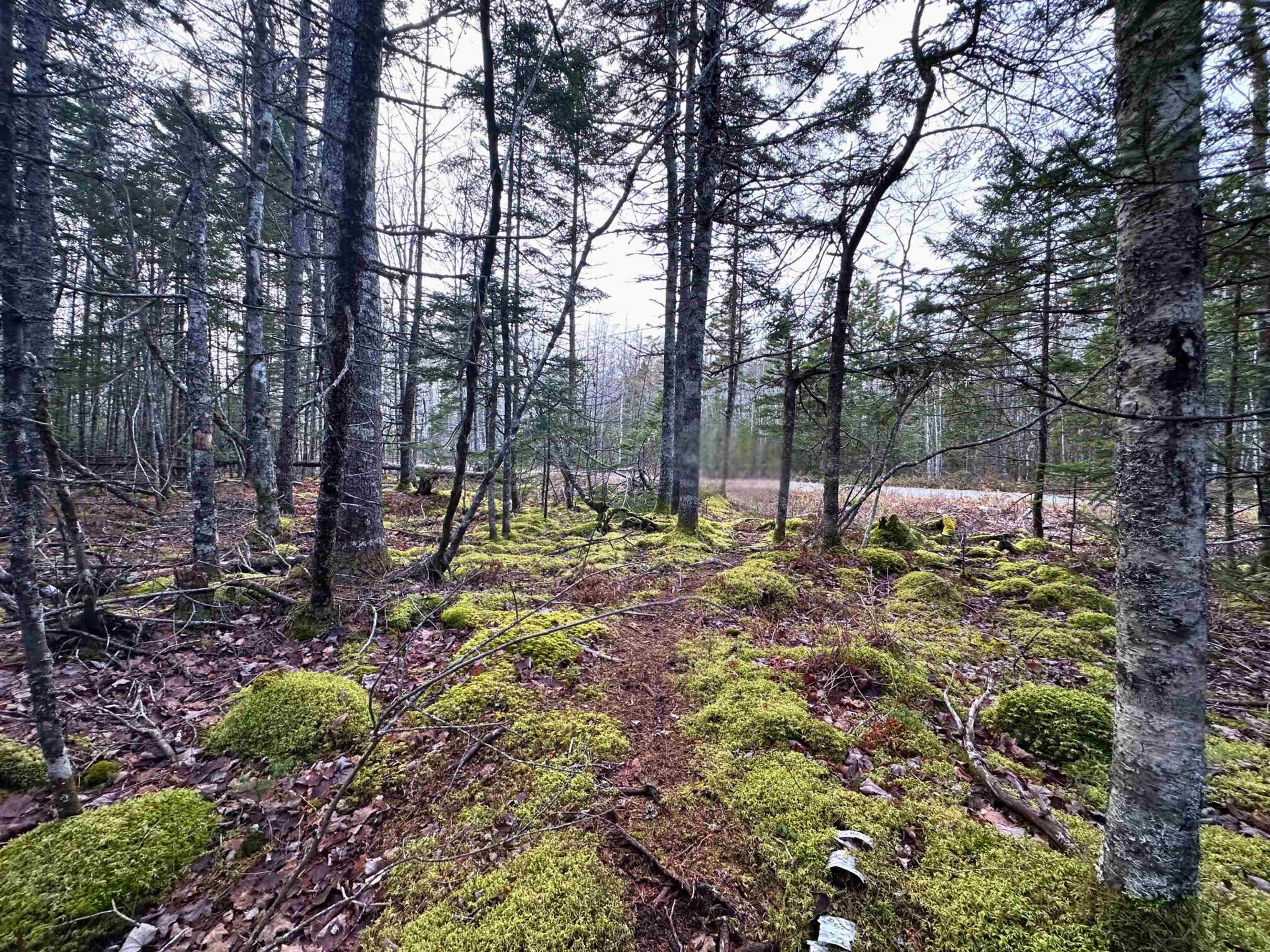 $34,000.00: Lot 22 Ernest Marion Drive, Laconia