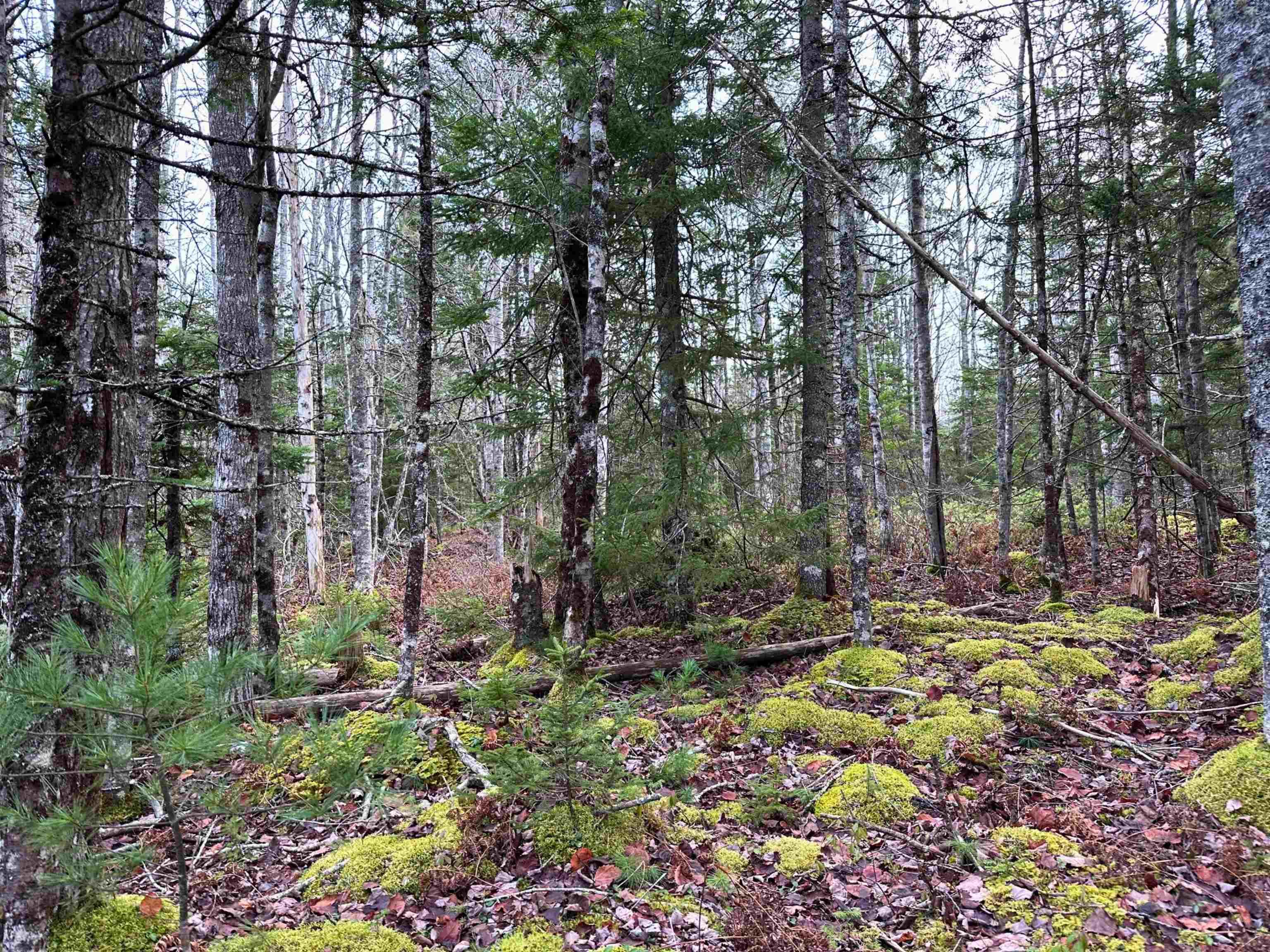 $32,000.00: Lot 23 Ernest Marion Drive, Laconia