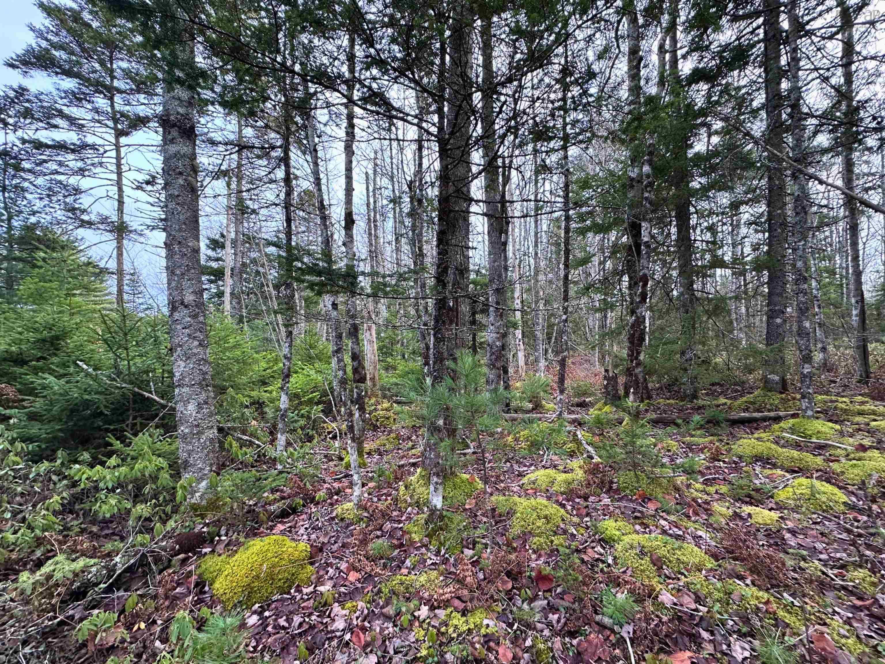 $32,000.00: Lot 23 Ernest Marion Drive, Laconia