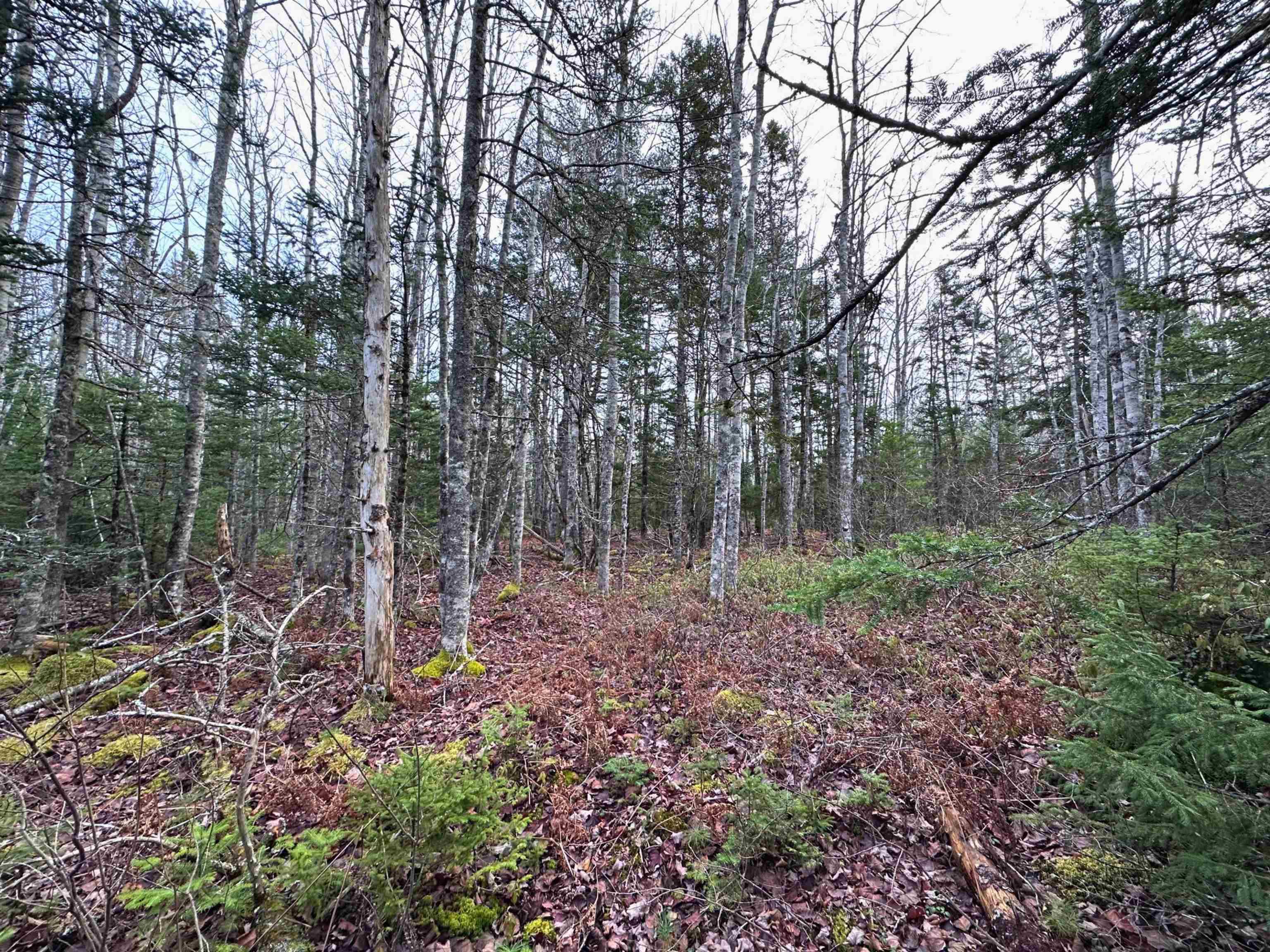 $32,000.00: Lot 23 Ernest Marion Drive, Laconia