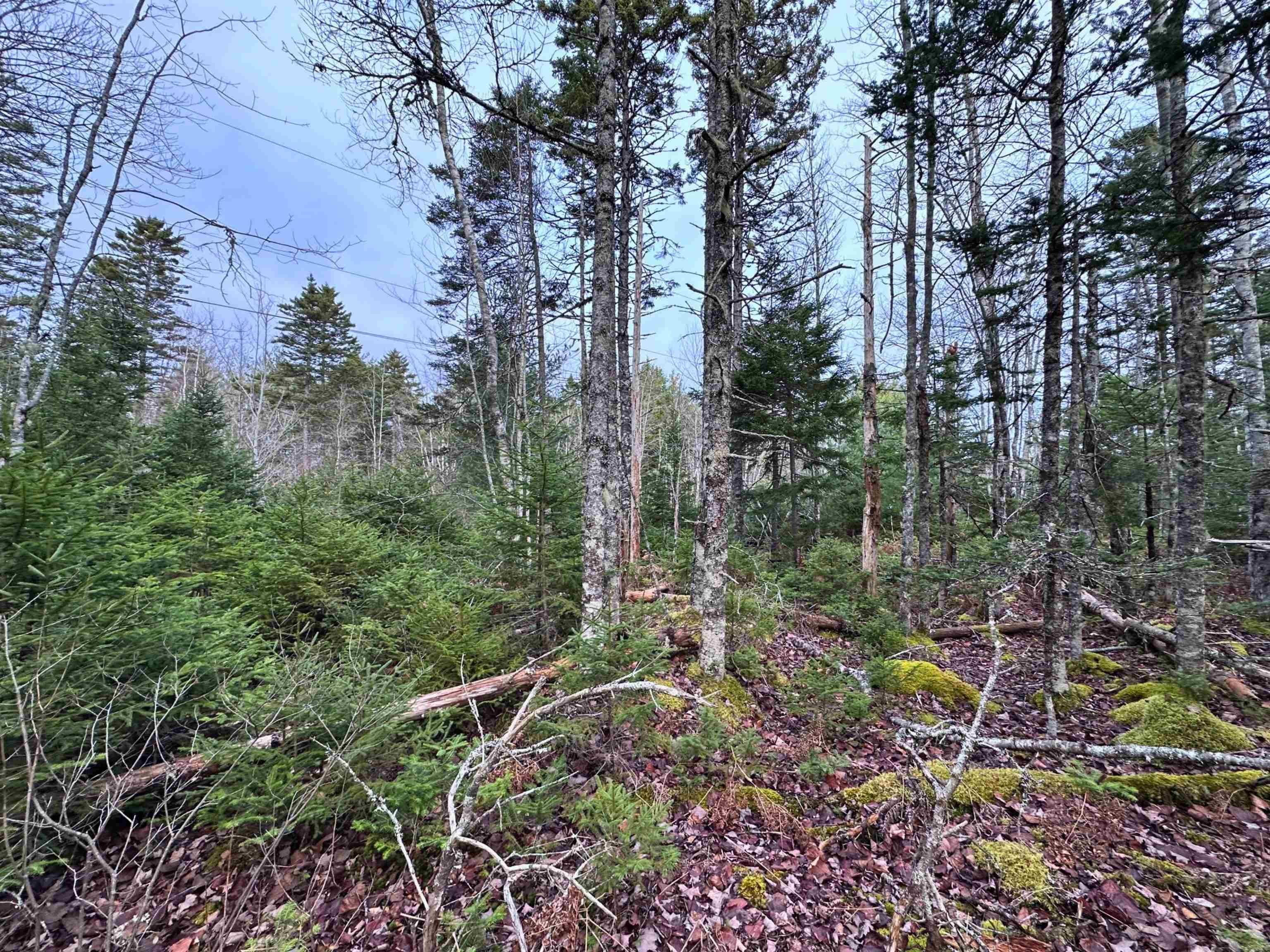 $32,000.00: Lot 23 Ernest Marion Drive, Laconia