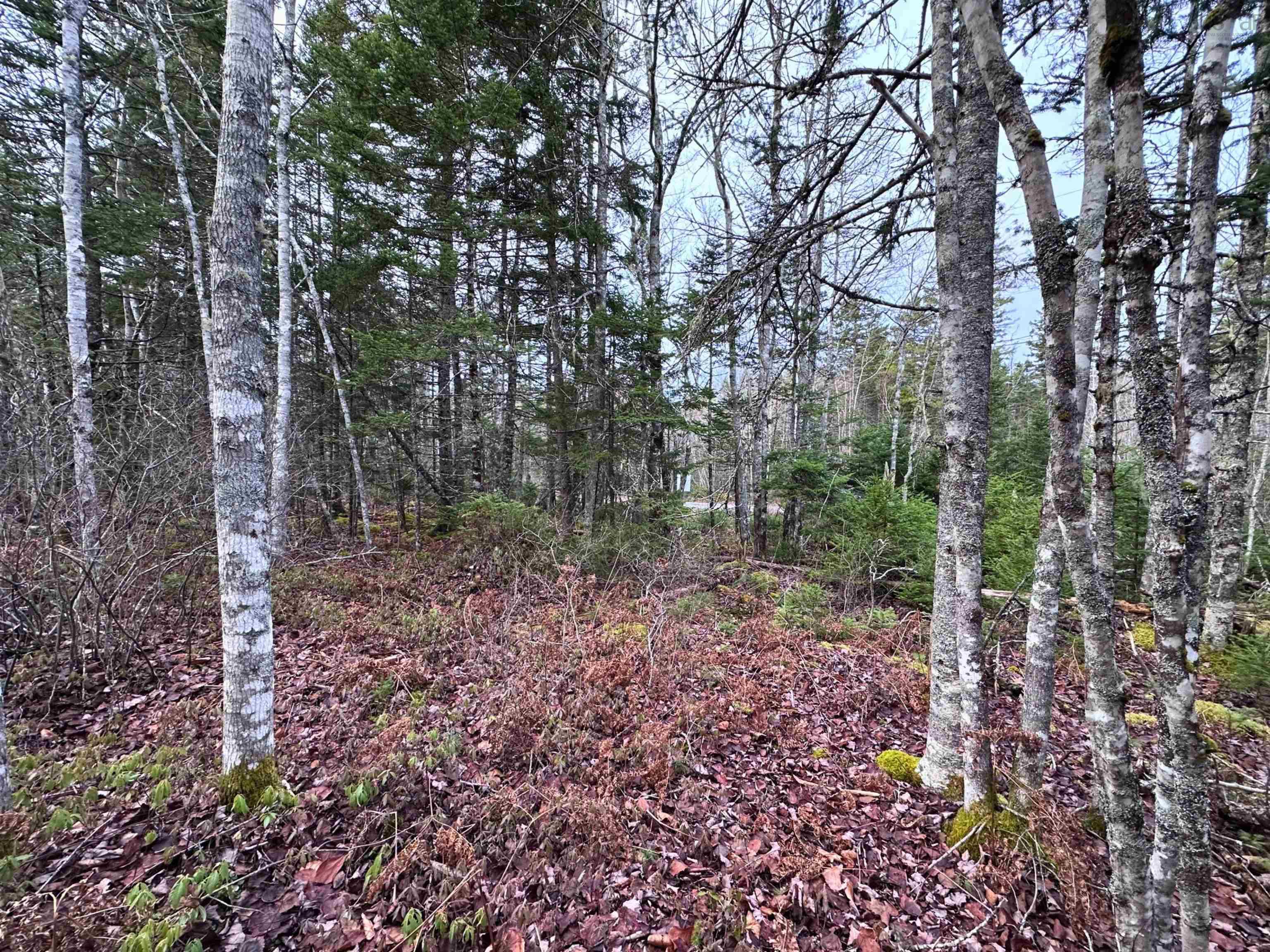 $32,000.00: Lot 23 Ernest Marion Drive, Laconia