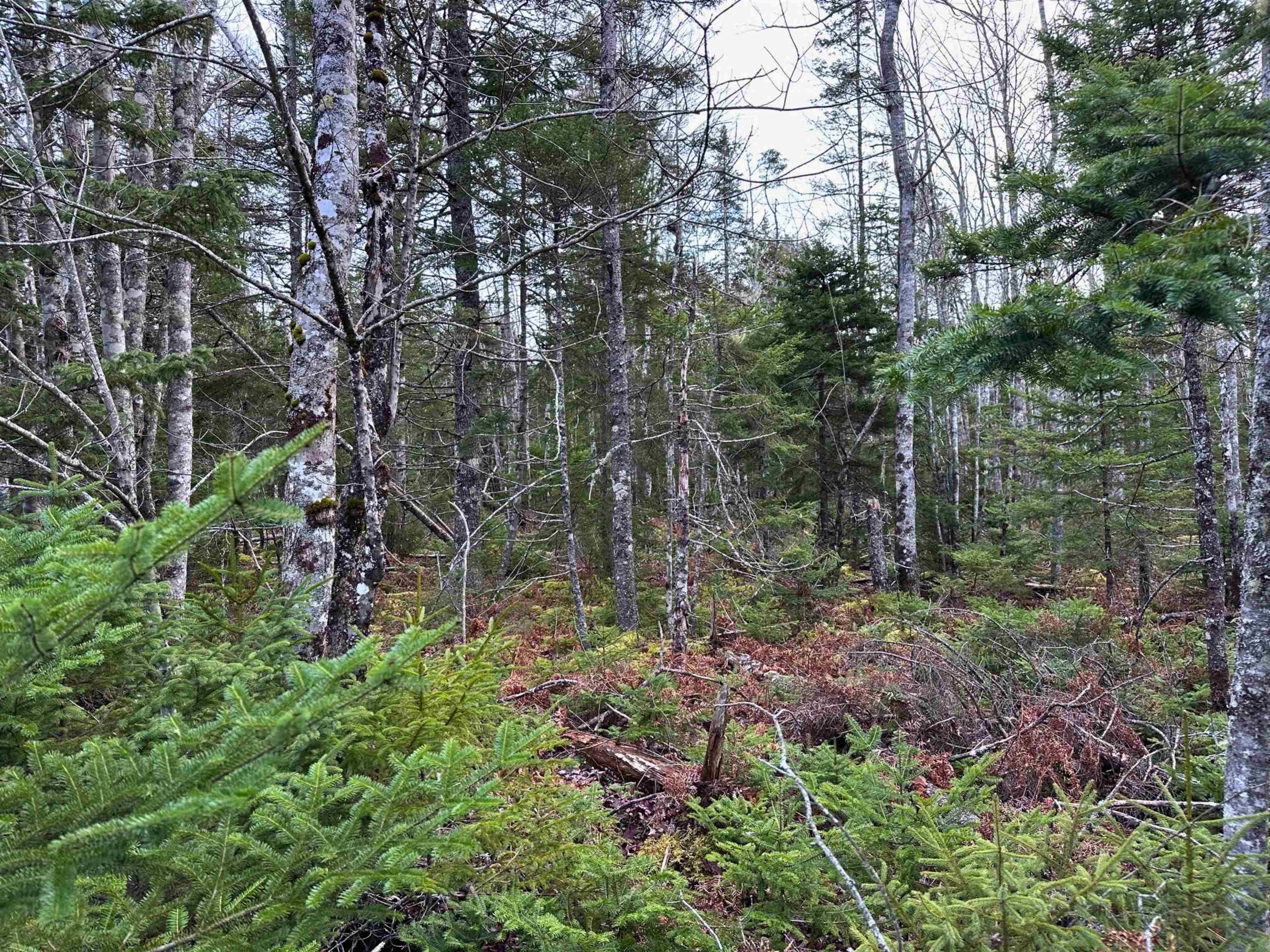 $32,000.00: Lot 23 Ernest Marion Drive, Laconia