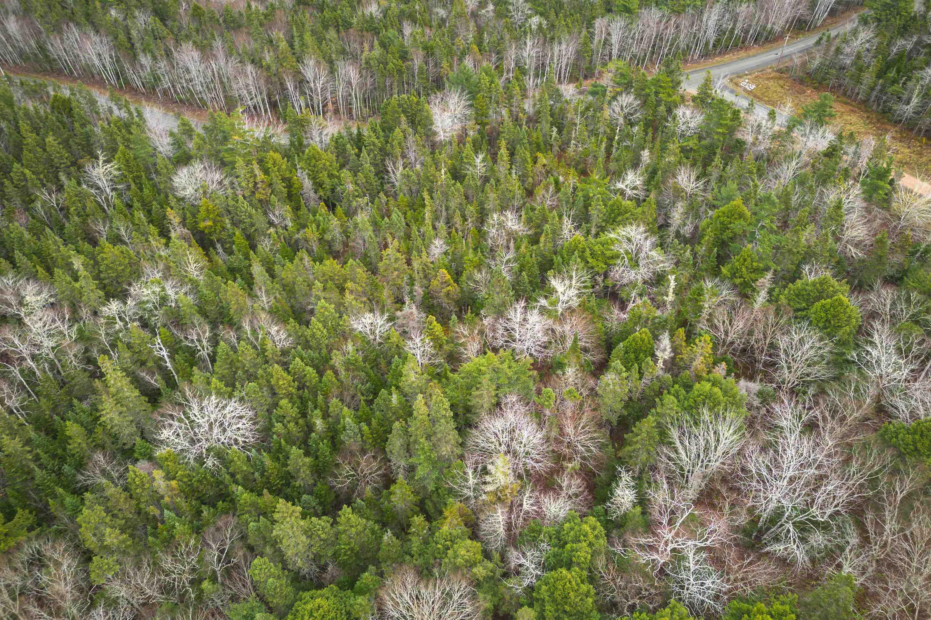 $114,000.00: Lot 3EF Militia Point Road, Militia Point
