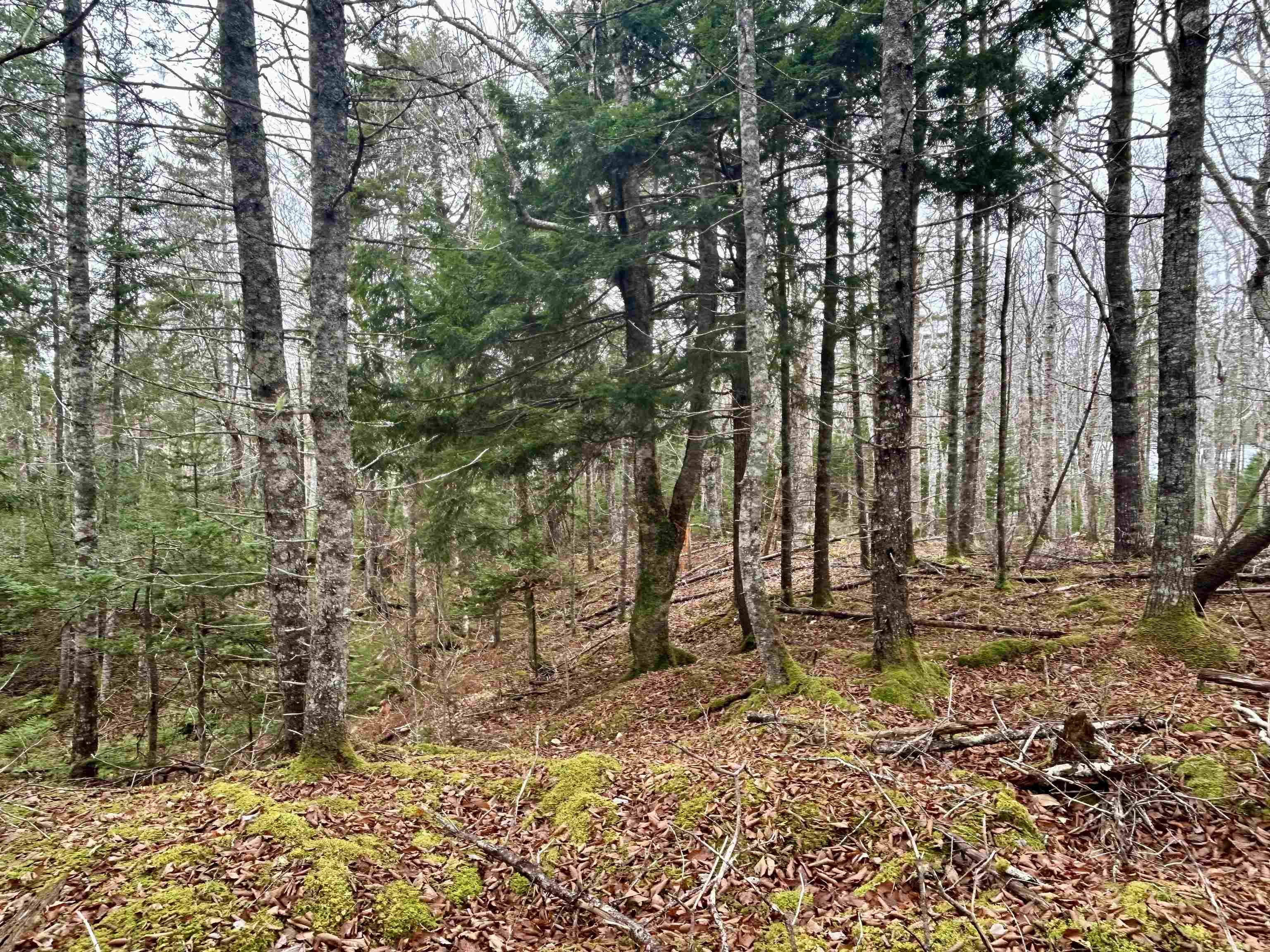 $114,000.00: Lot 3EF Militia Point Road, Militia Point