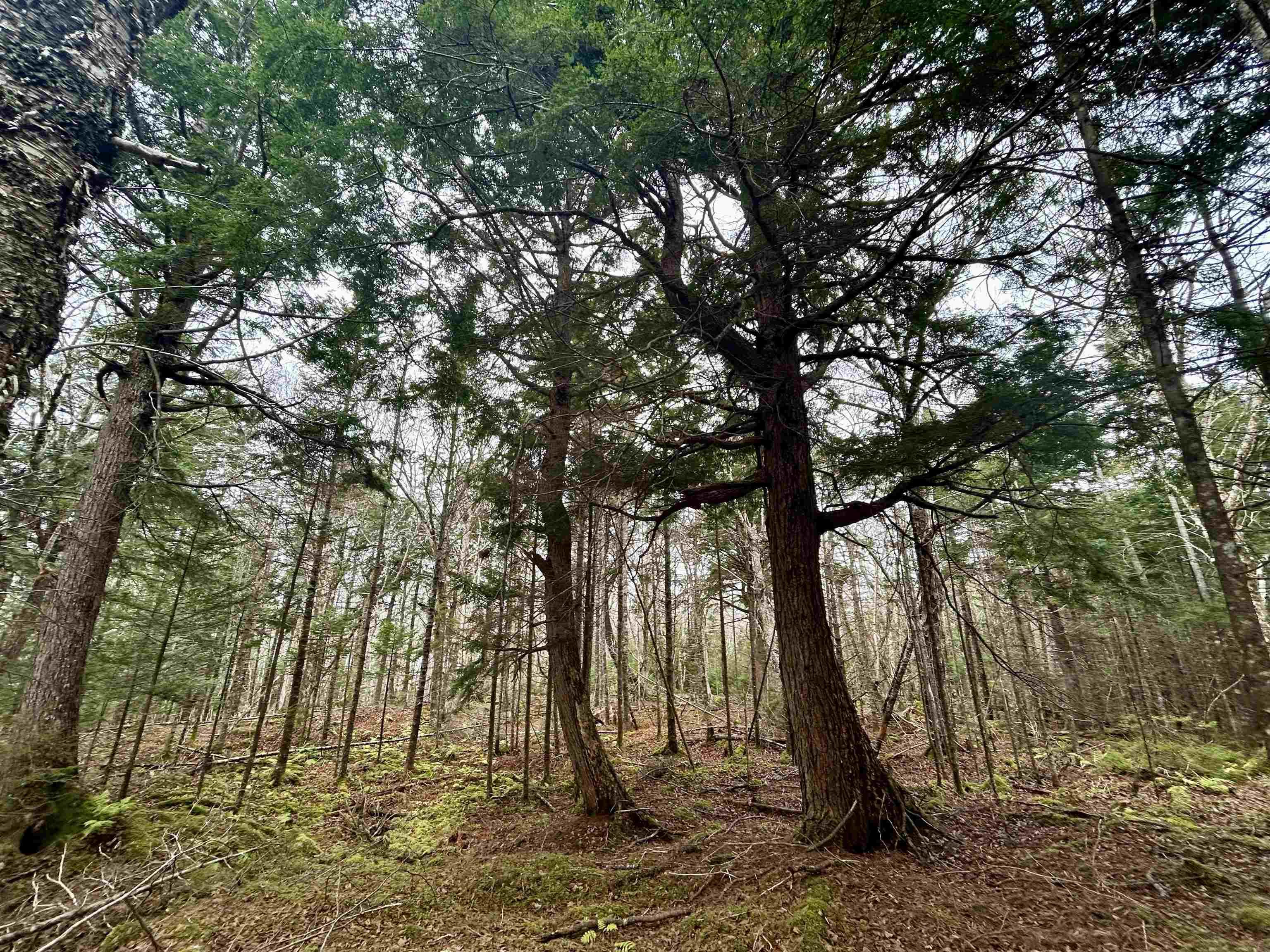 $114,000.00: Lot 3EF Militia Point Road, Militia Point
