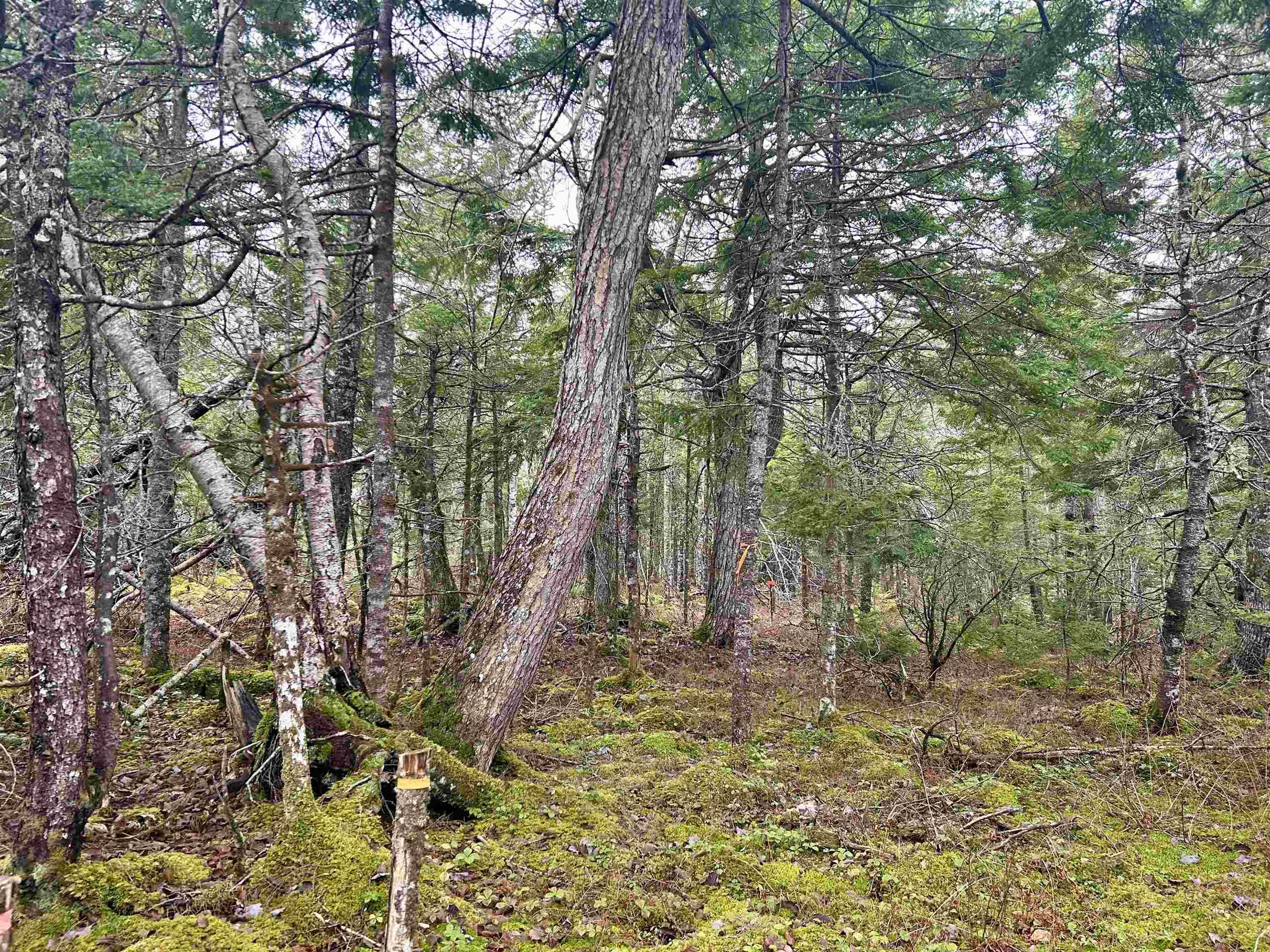 $114,000.00: Lot 3EF Militia Point Road, Militia Point