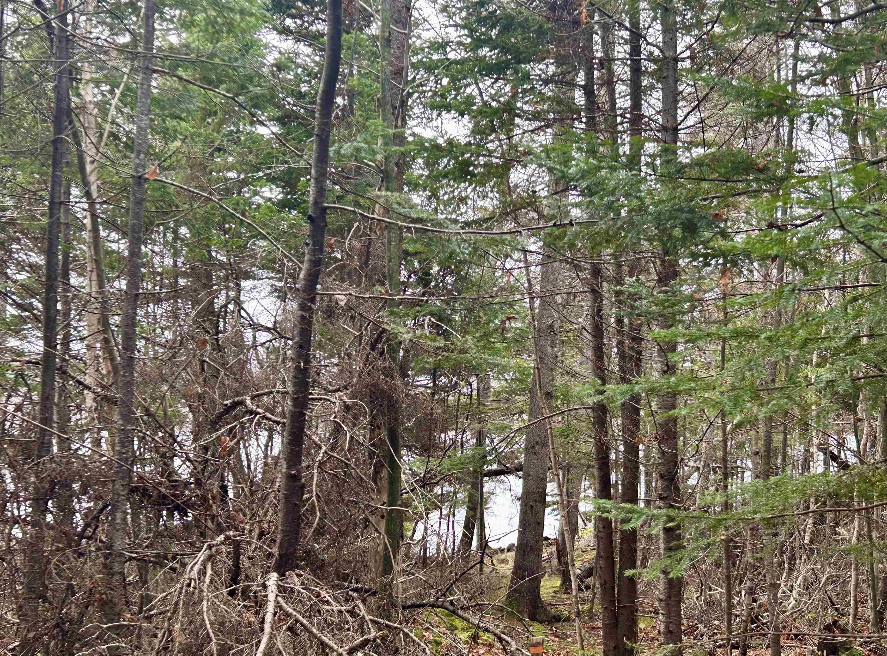 $114,000.00: Lot 3EF Militia Point Road, Militia Point