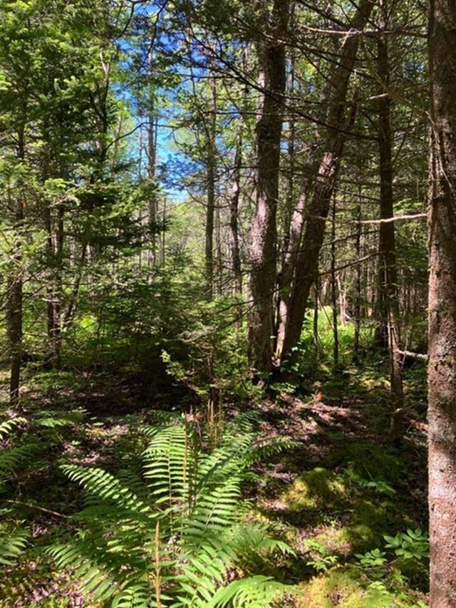 $75,000.00: Lot 5 McCormack Road, Sandford