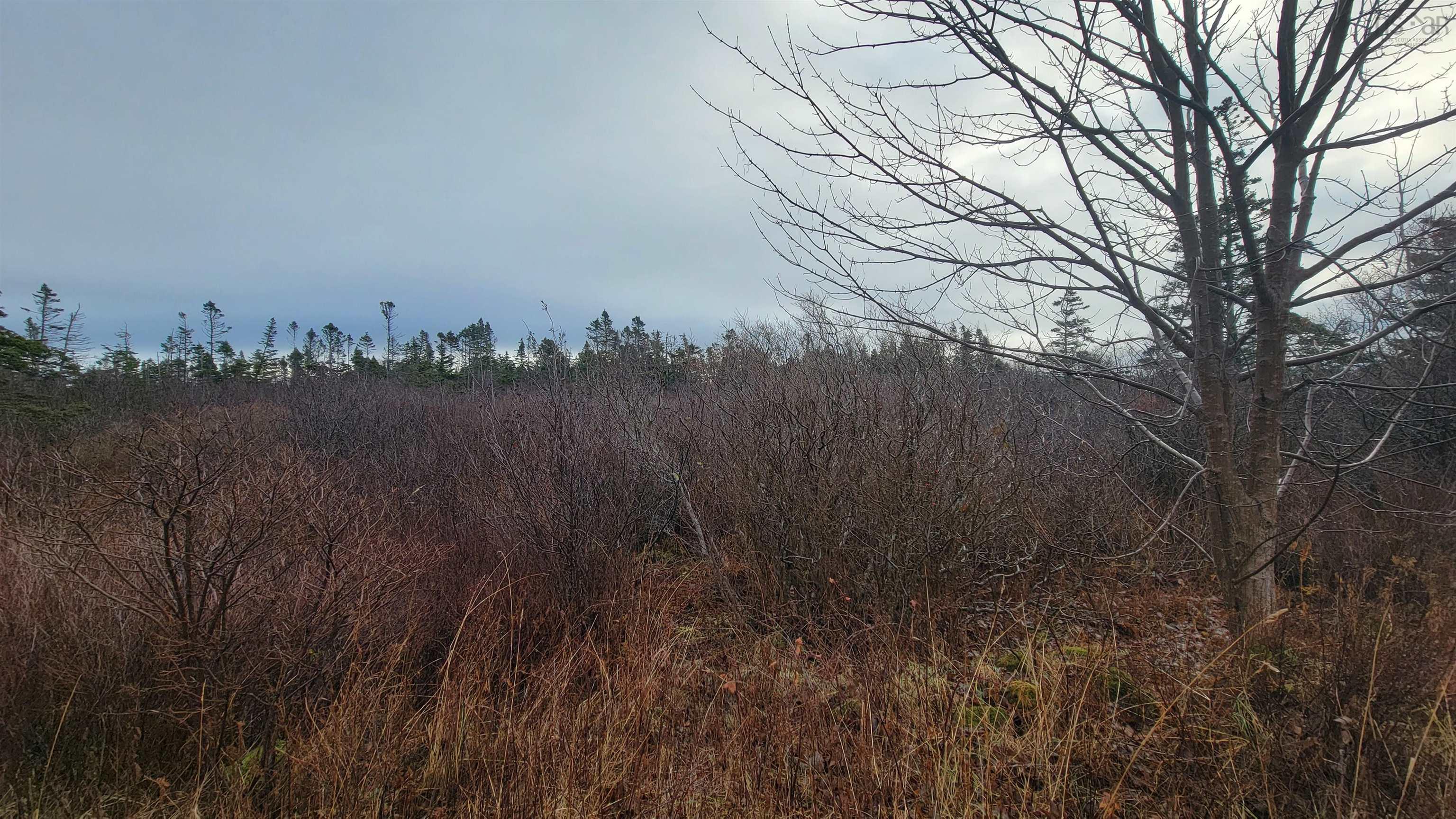 $49,900.00: Lot Overton Road, Overton