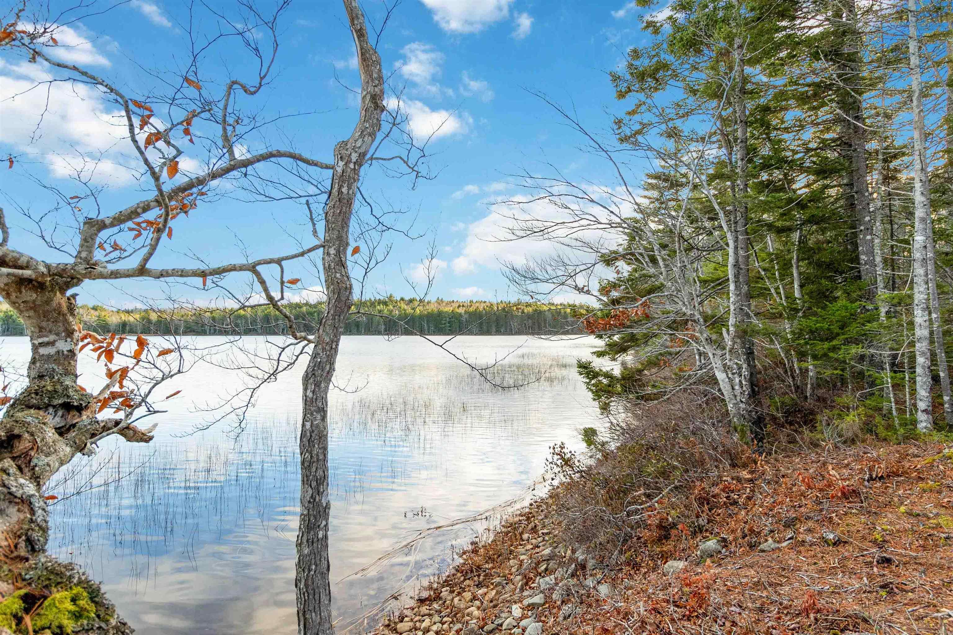 $176,500.00: 99 Lewie Lake Road, Laconia