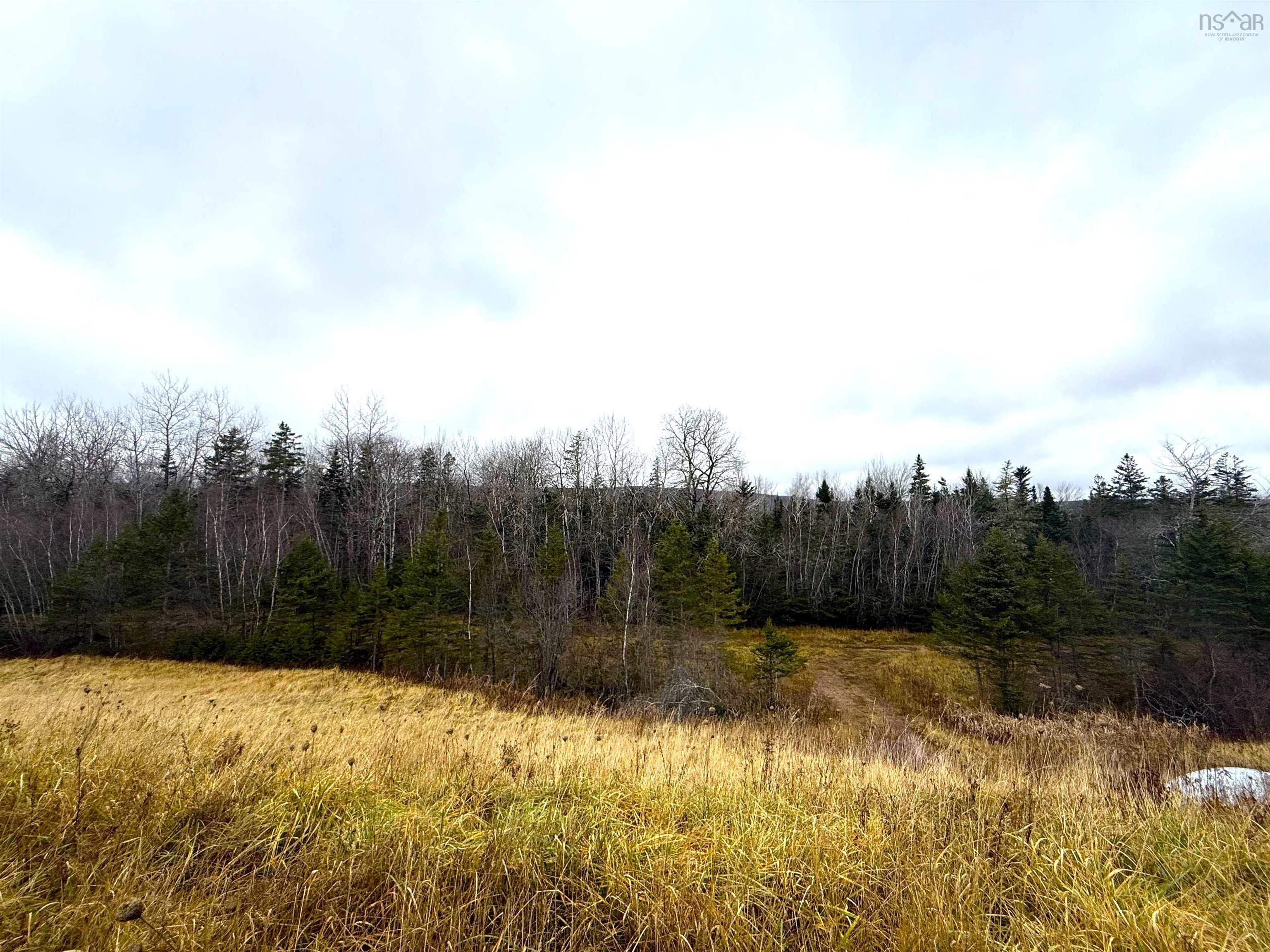 $34,900.00: Lot 1 101 Highway, Bridgetown East