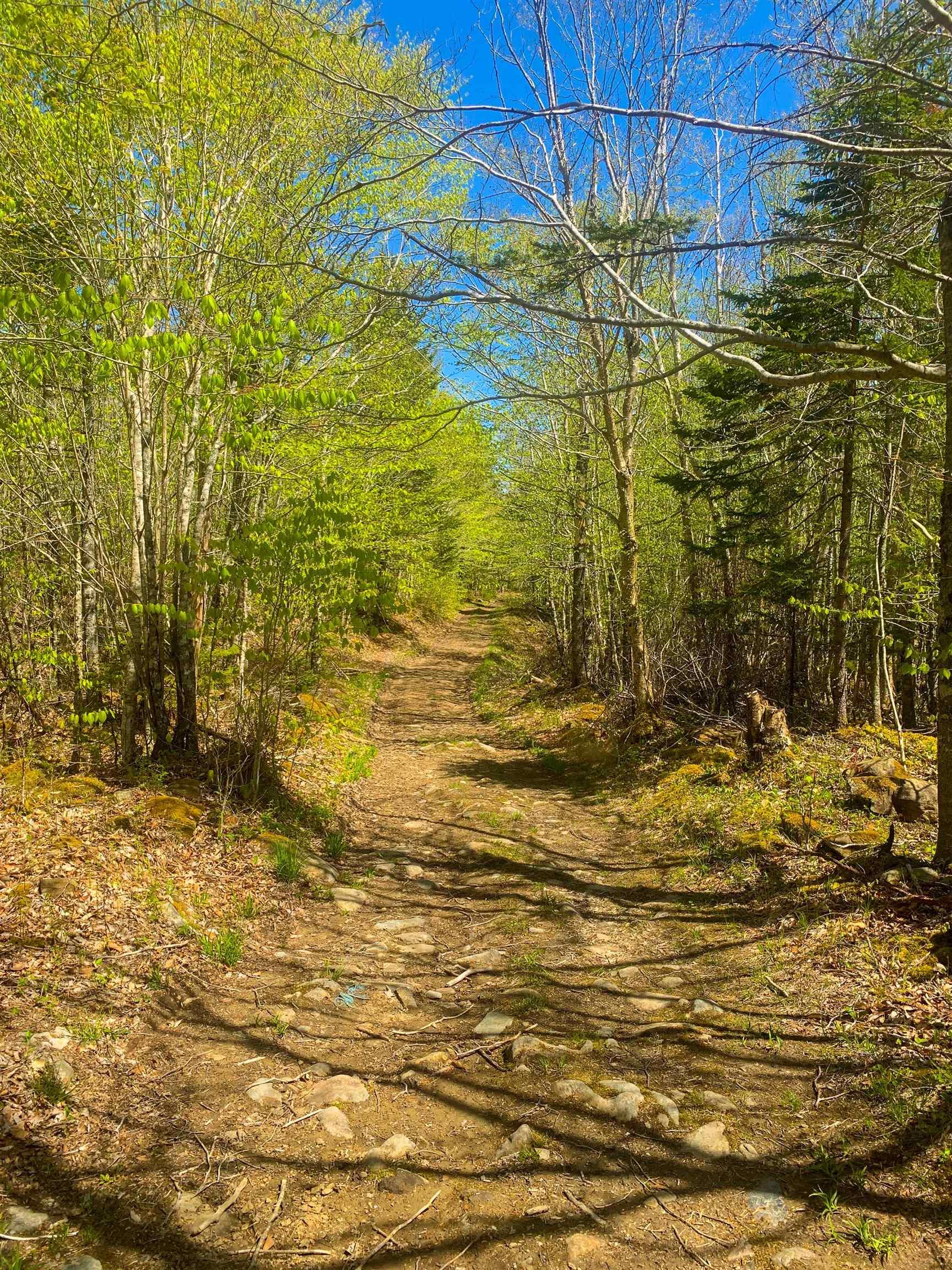 $29,900.00: Lot 20 Highway 308, Morris Island