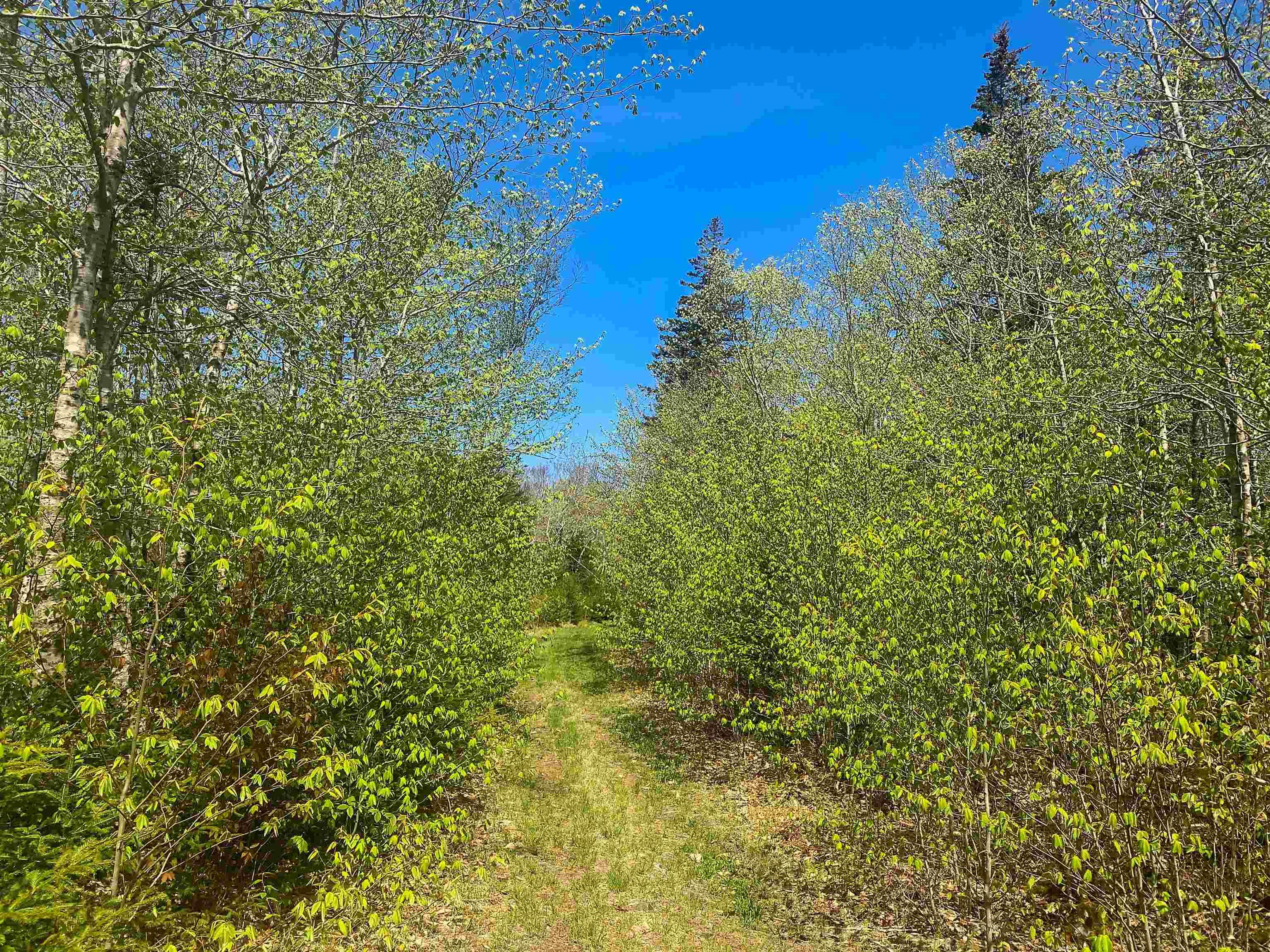$29,900.00: Lot 20 Highway 308, Morris Island