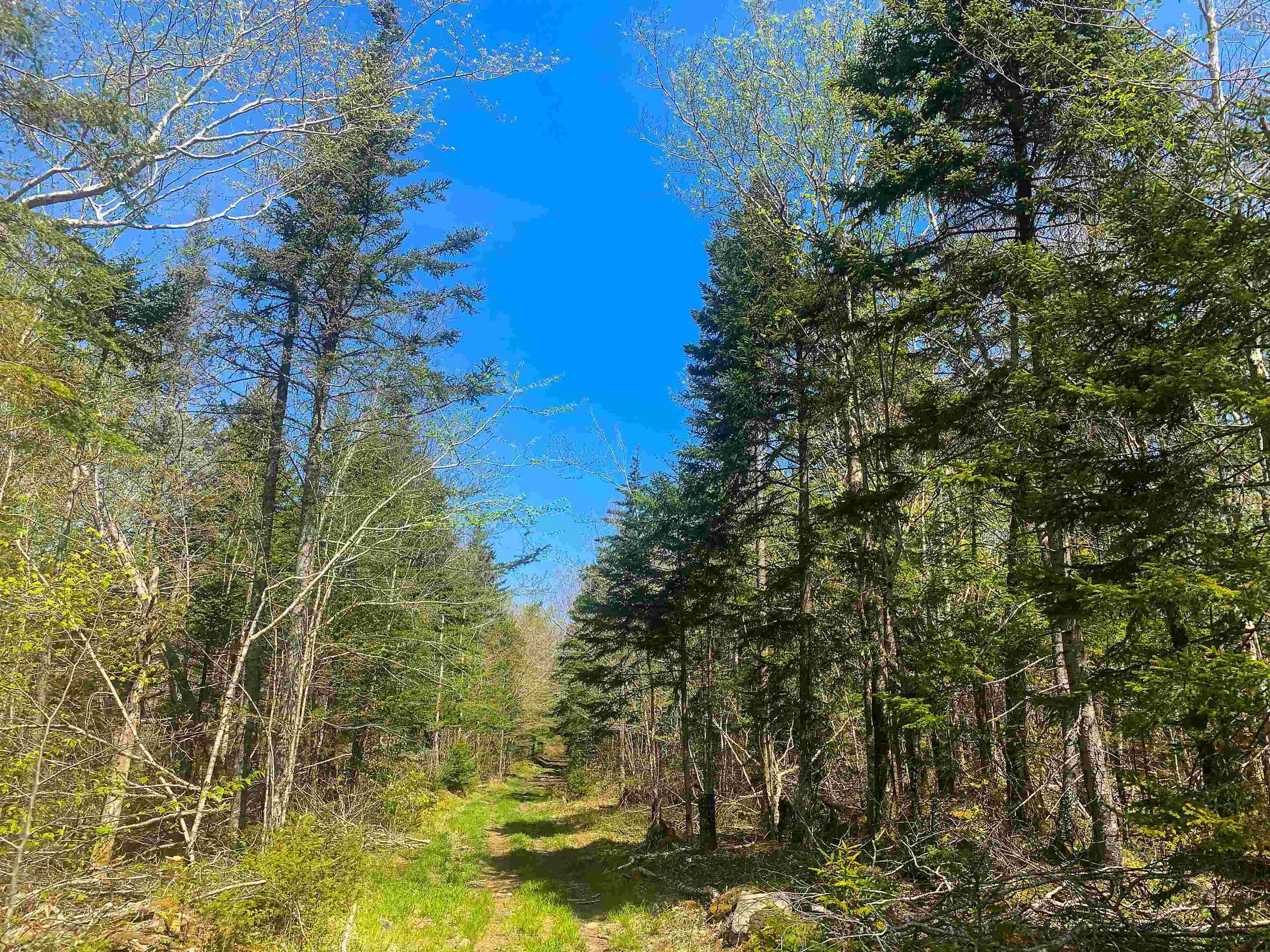 $29,900.00: Lot 20 Highway 308, Morris Island