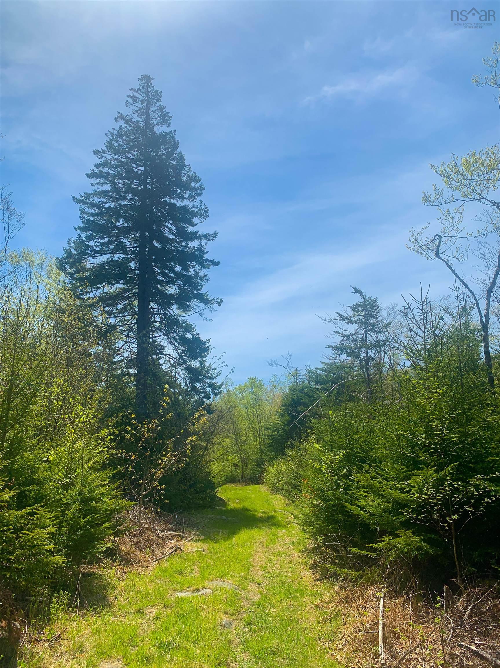 $29,900.00: Lot 20 Highway 308, Morris Island