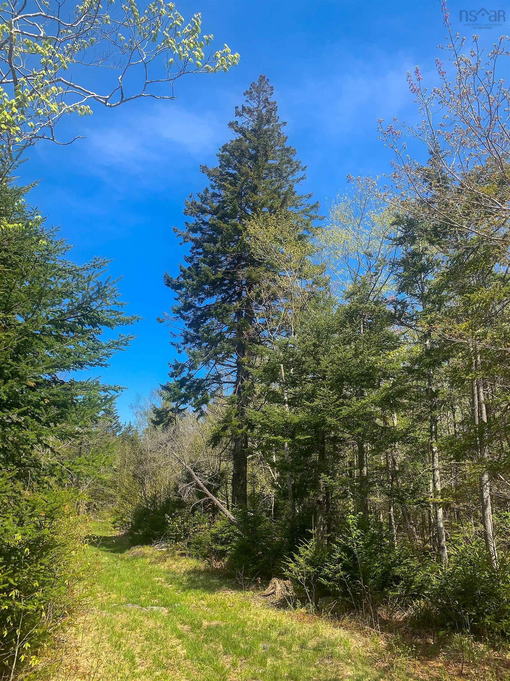 $29,900.00: Lot 20 Highway 308, Morris Island