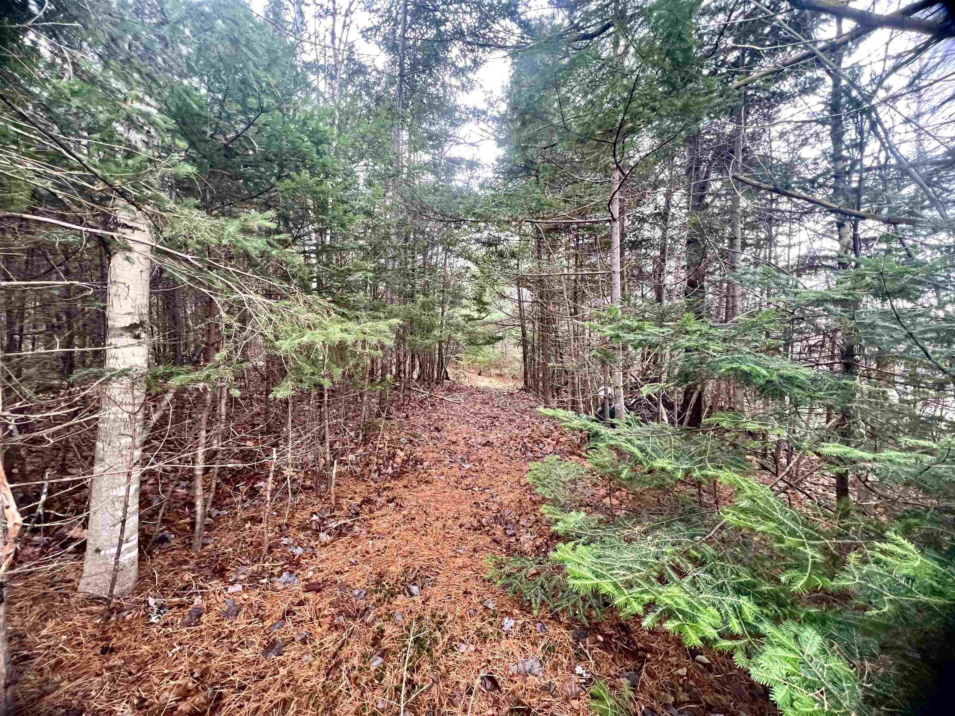 $49,000.00: 1224 Peck Meadow Road, Greenfield