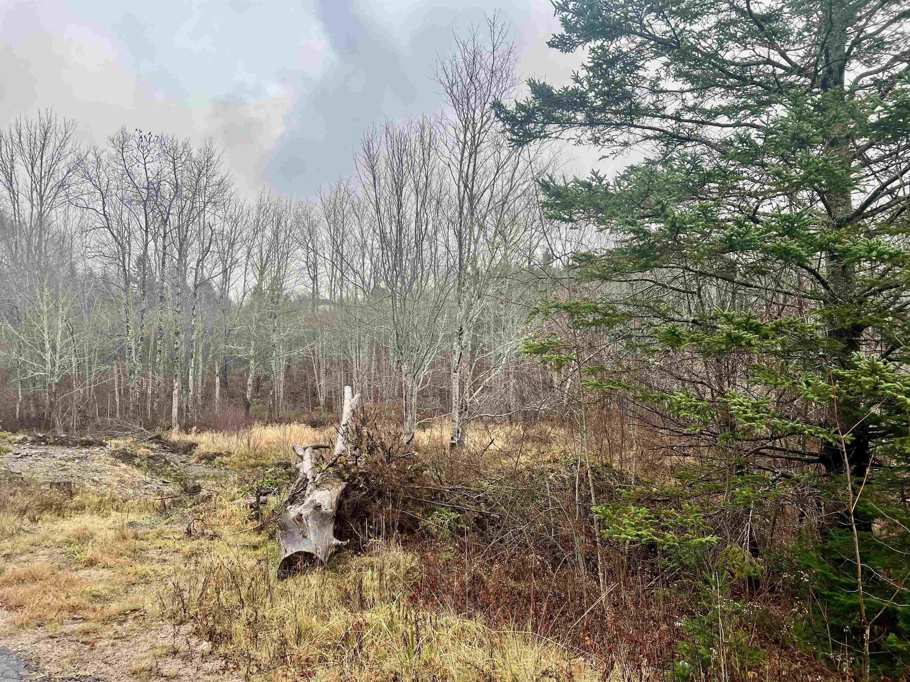 $39,000.00: 1284 Peck Meadow Road, Greenfield