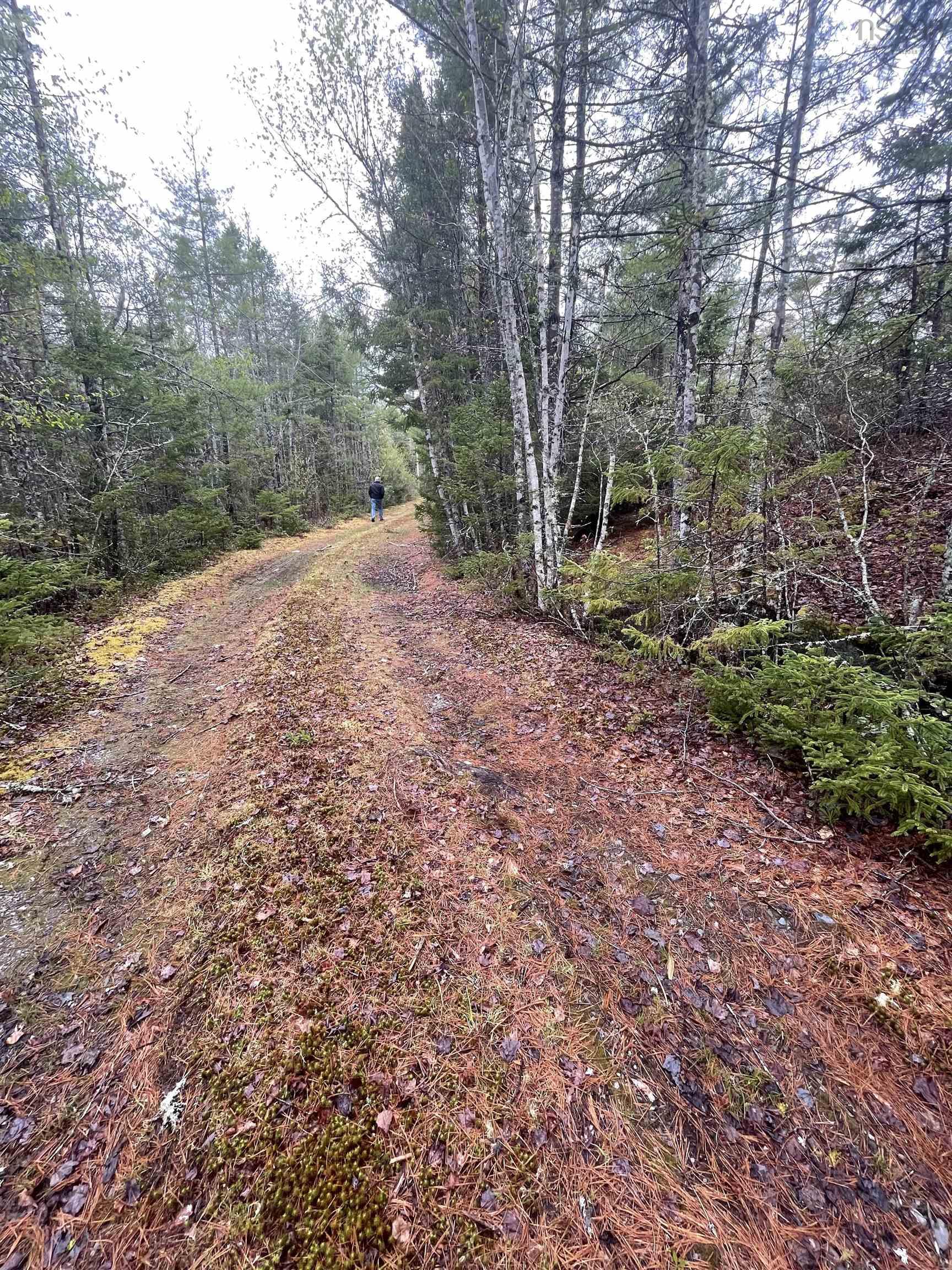 $84,000.00: Lot 59 Black Forest Road, Port Mouton