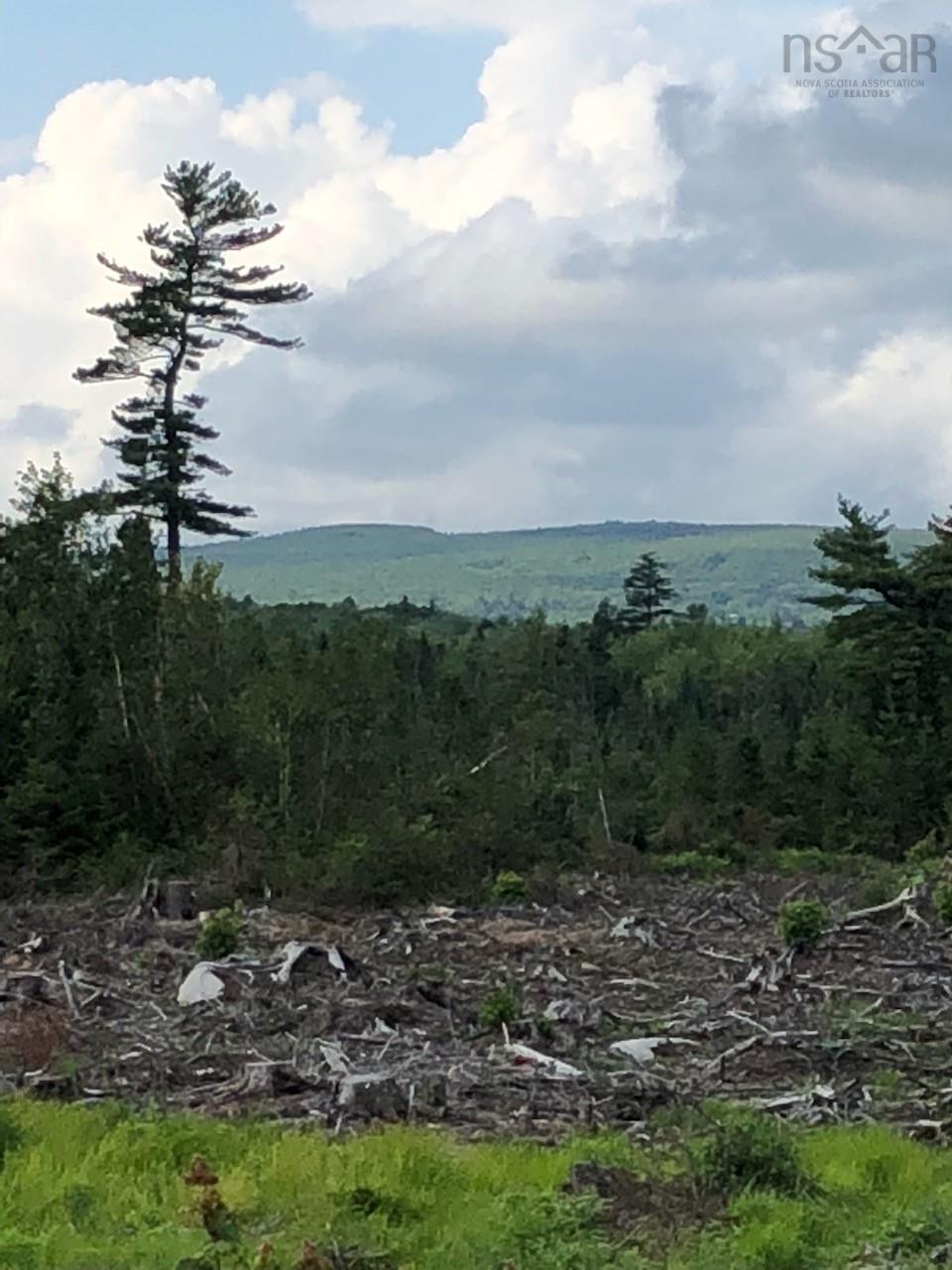 $92,900.00: Lot Upper Belmont Road, Belmont