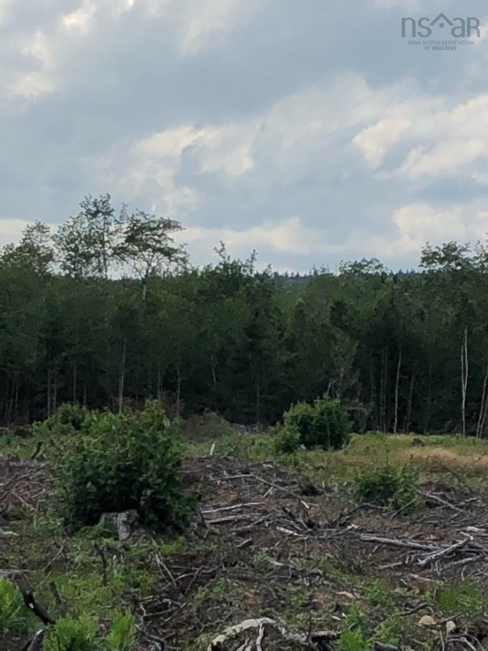 $92,900.00: Lot Upper Belmont Road, Belmont
