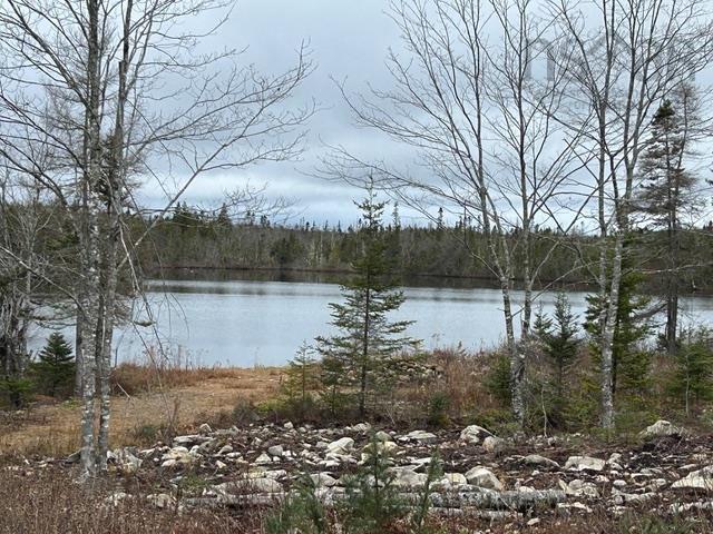 $109,999.00: 97 Harbour View Drive, Watt Section