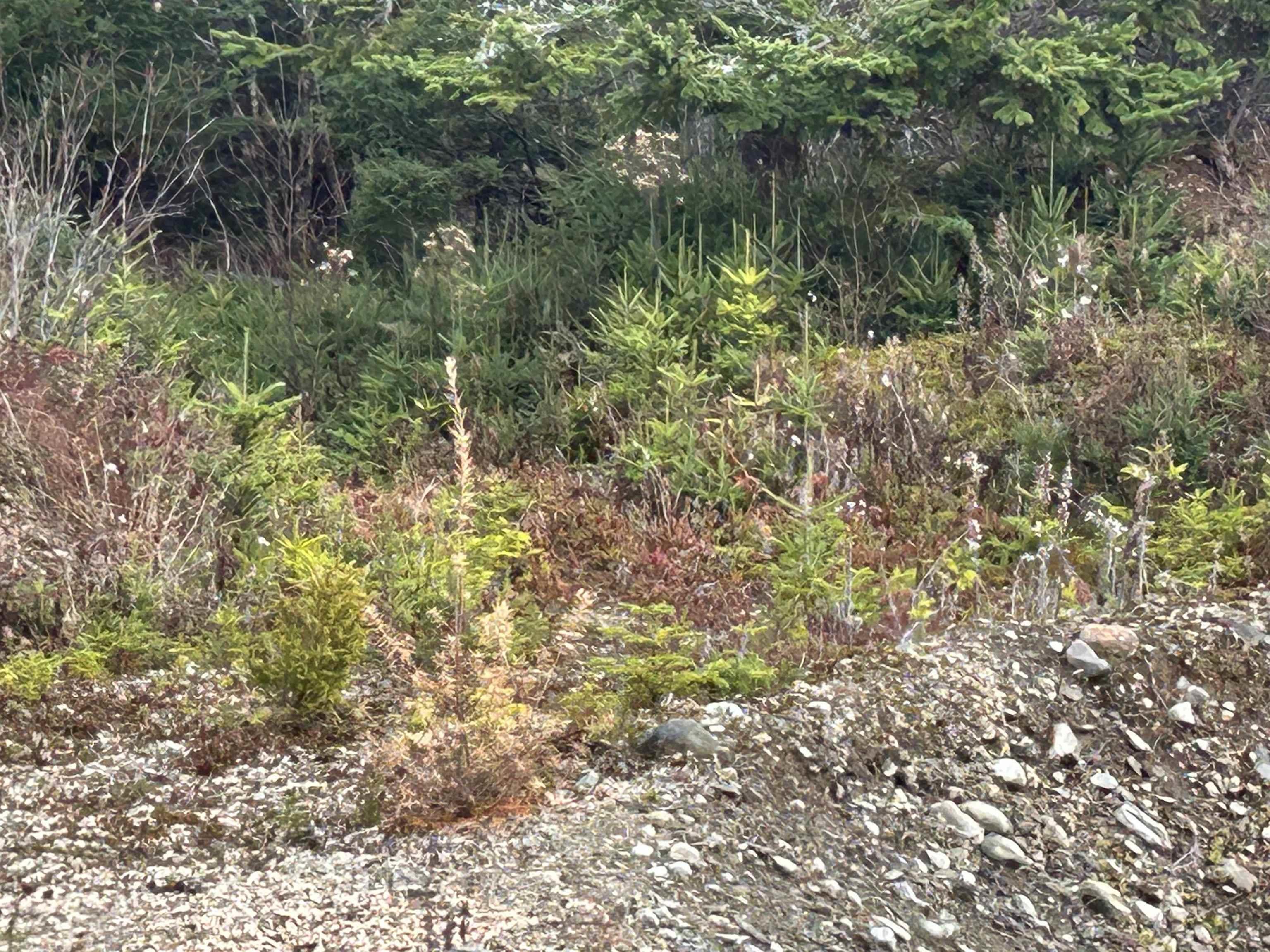 $109,999.00: 97 Harbour View Drive, Watt Section