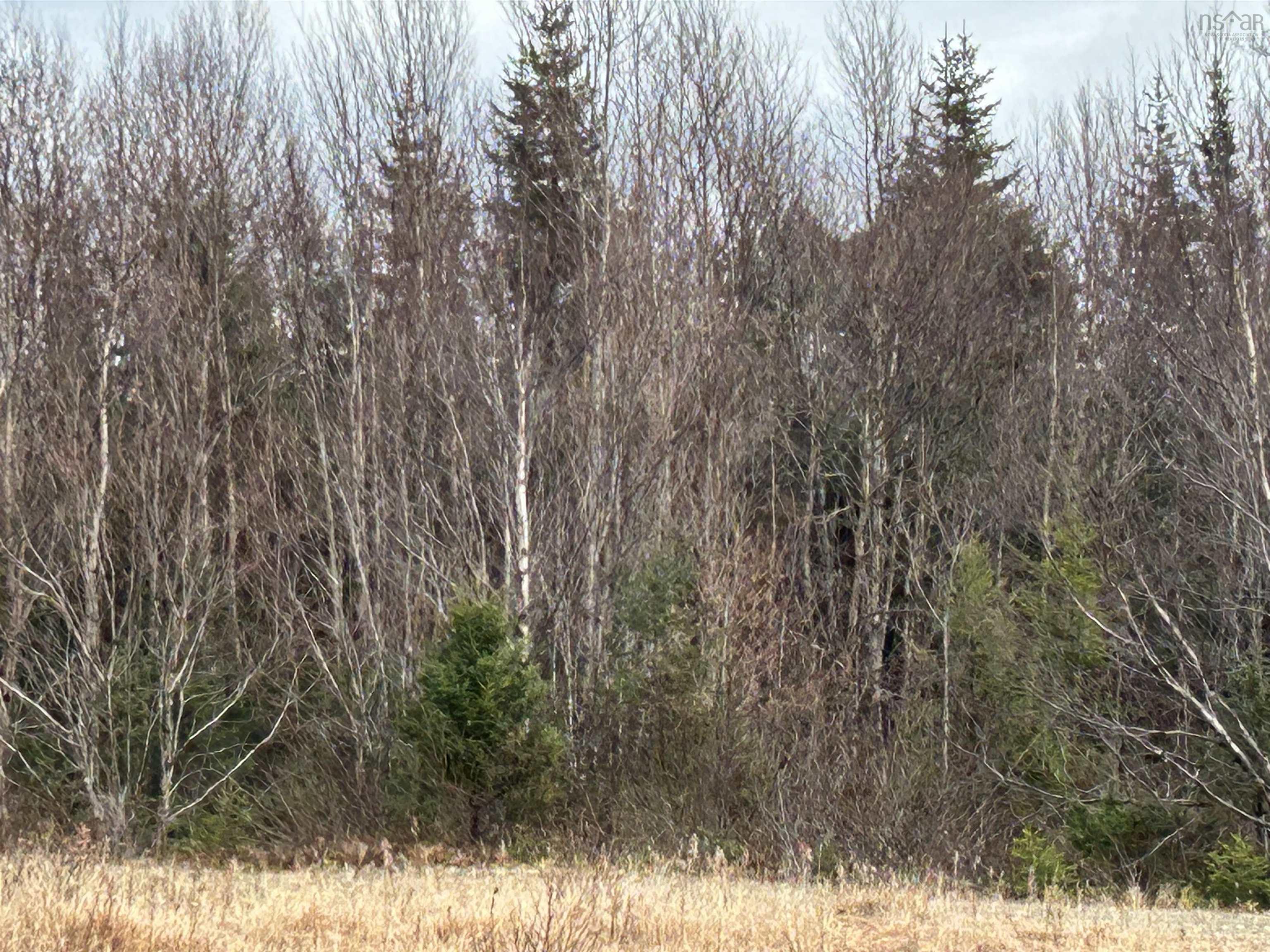 $109,999.00: 97 Harbour View Drive, Watt Section