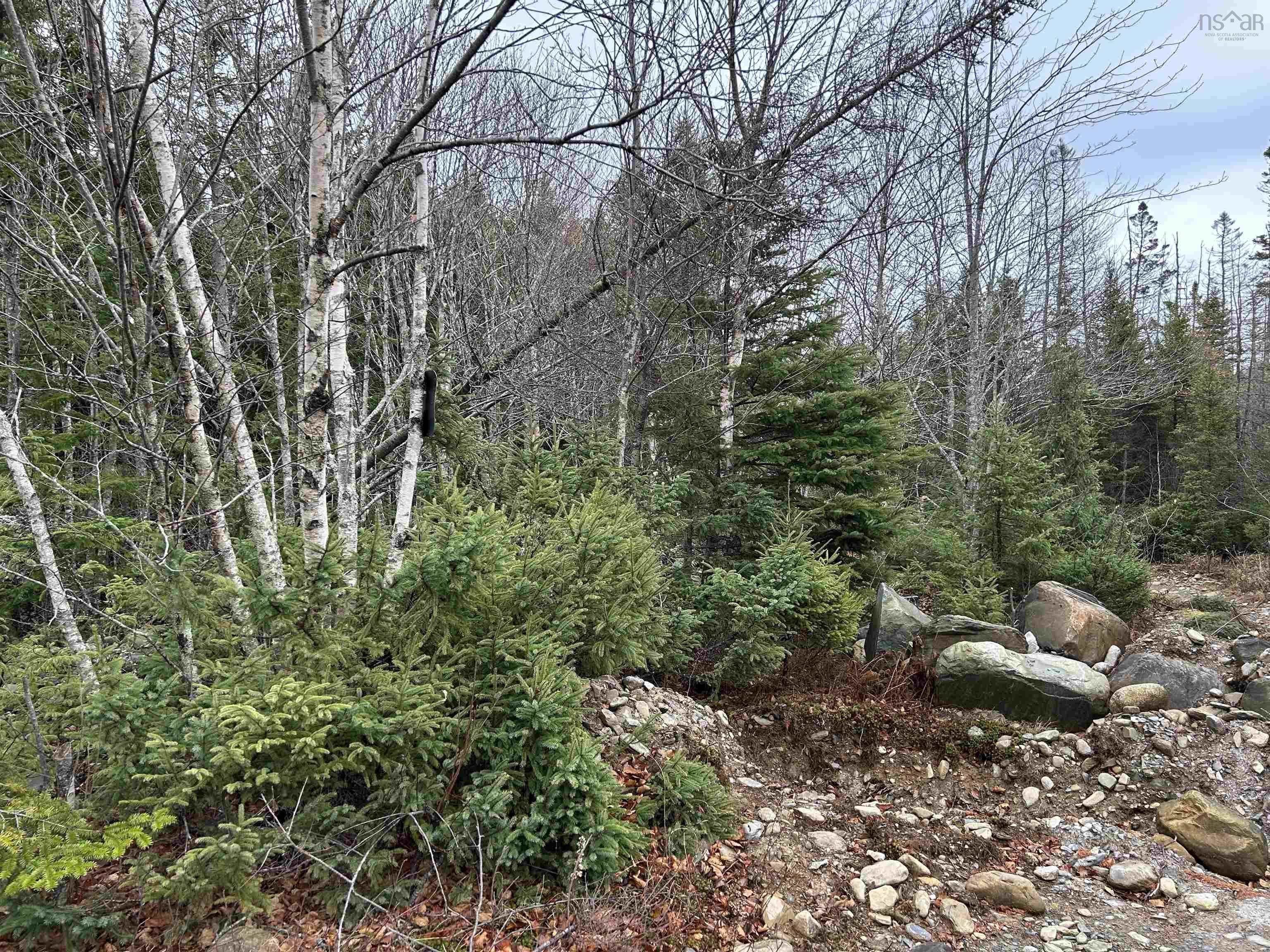 $109,999.00: 97 Harbour View Drive, Watt Section