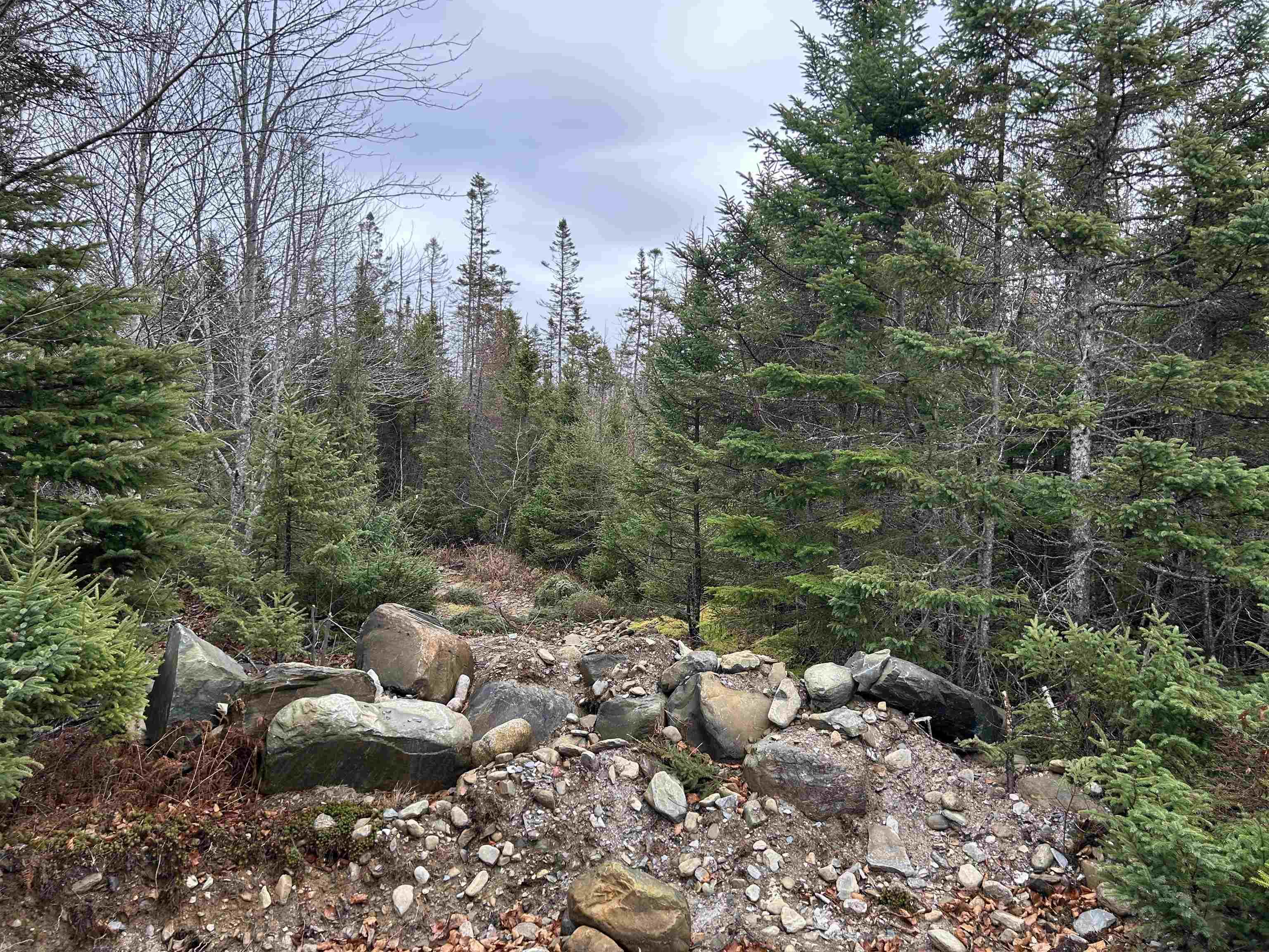 $109,999.00: 97 Harbour View Drive, Watt Section
