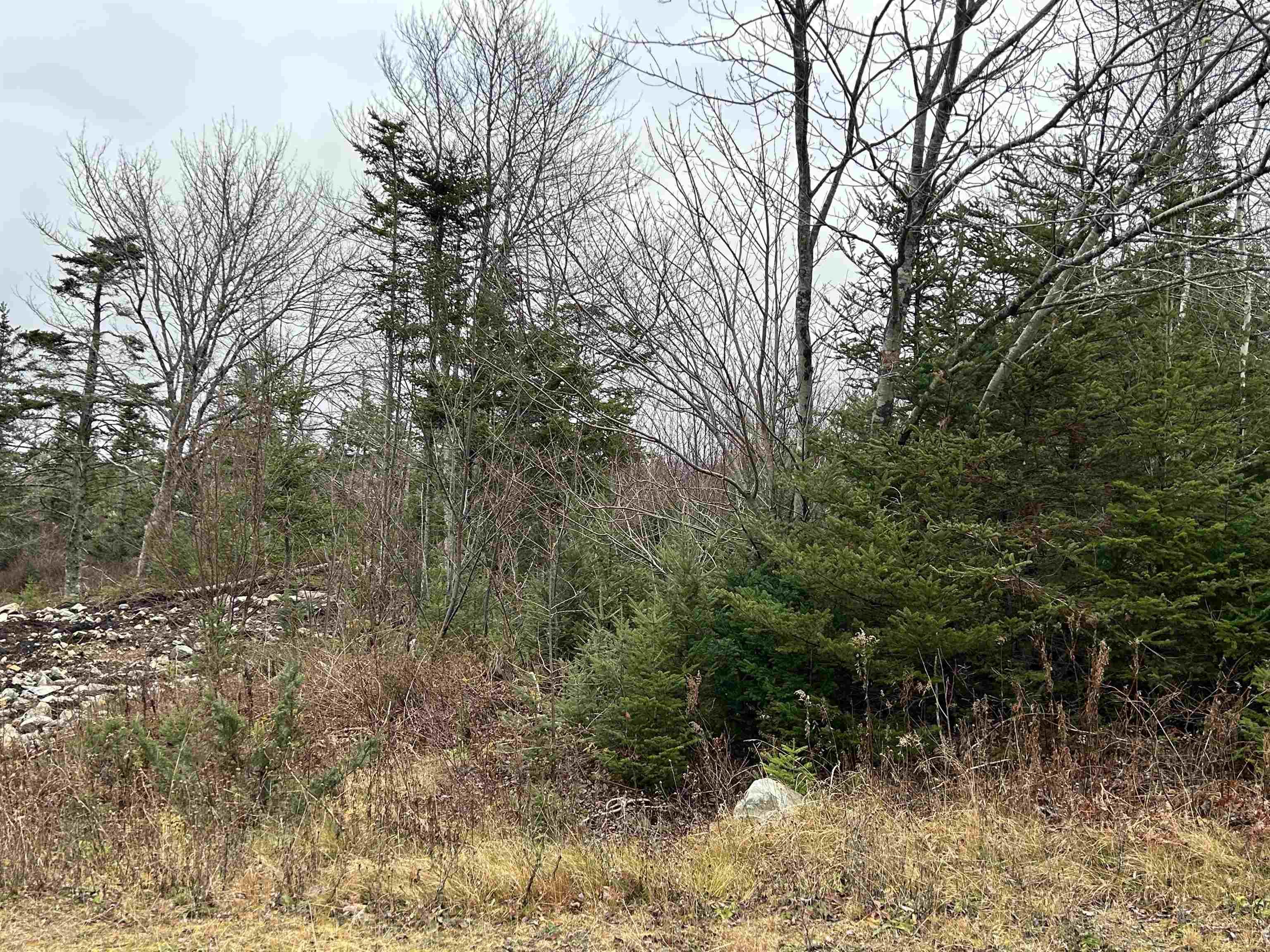 $109,999.00: 97 Harbour View Drive, Watt Section