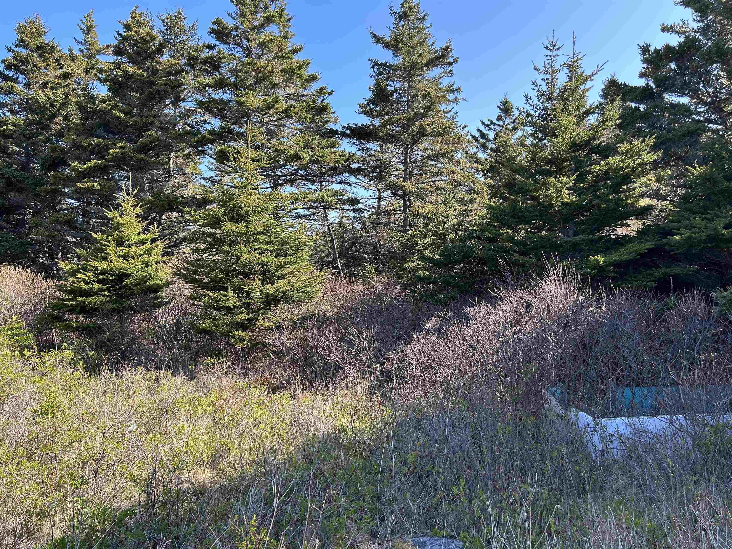 $159,000.00: 6667 Highway 3, Lower Woods Harbour