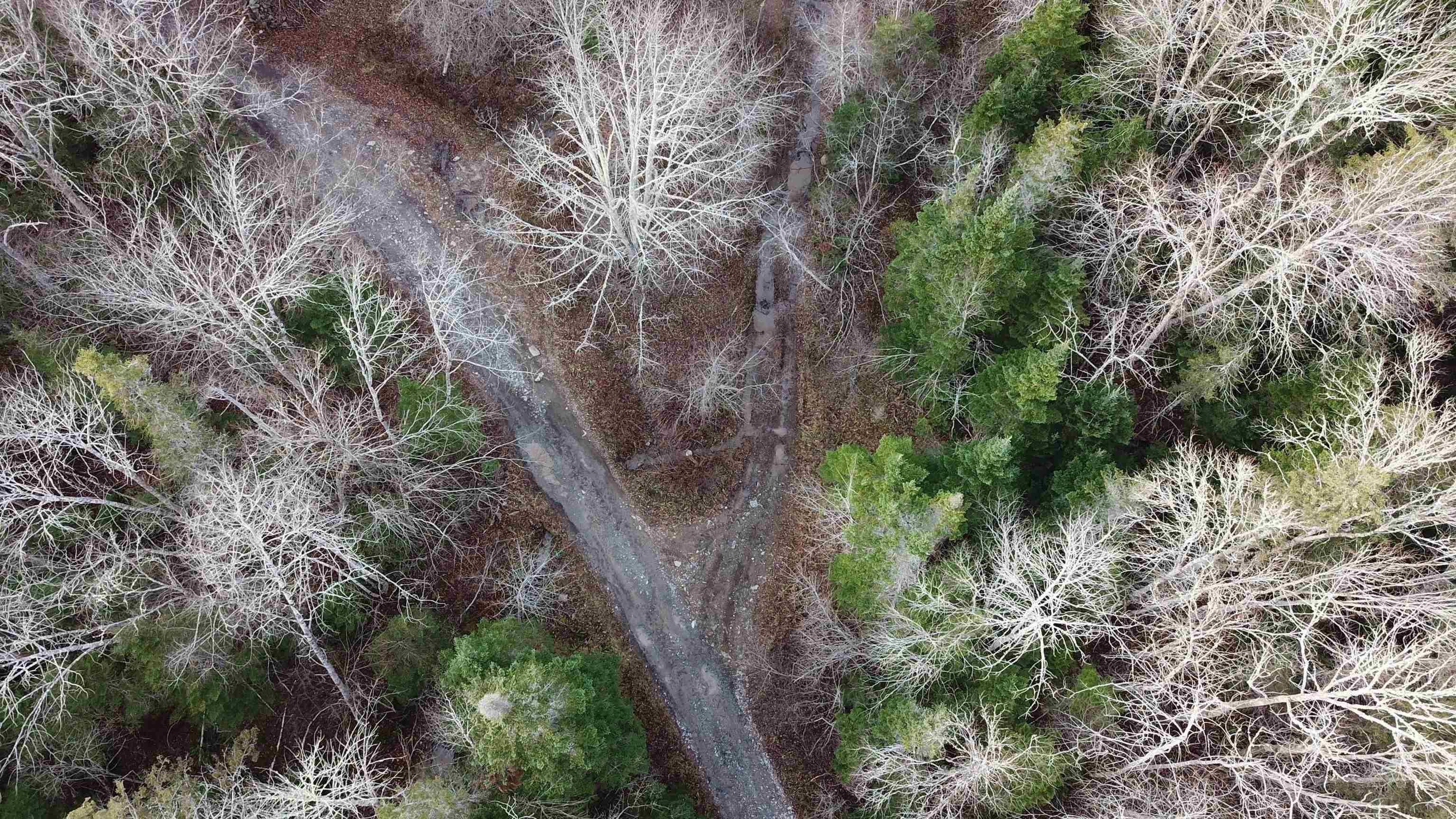 $15,000.00: Old Renfrew Road, Nine Mile River