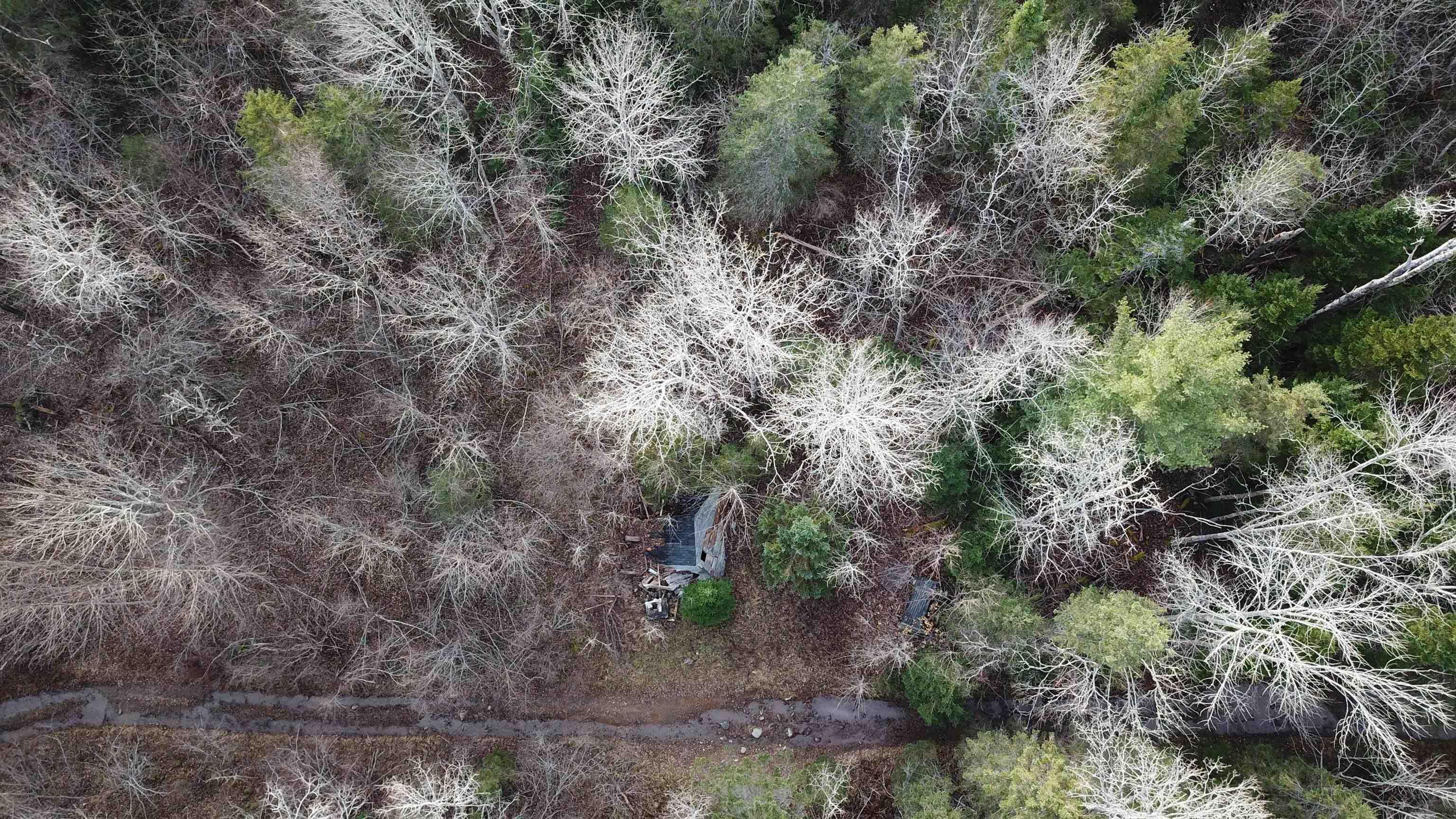 $15,000.00: Old Renfrew Road, Nine Mile River
