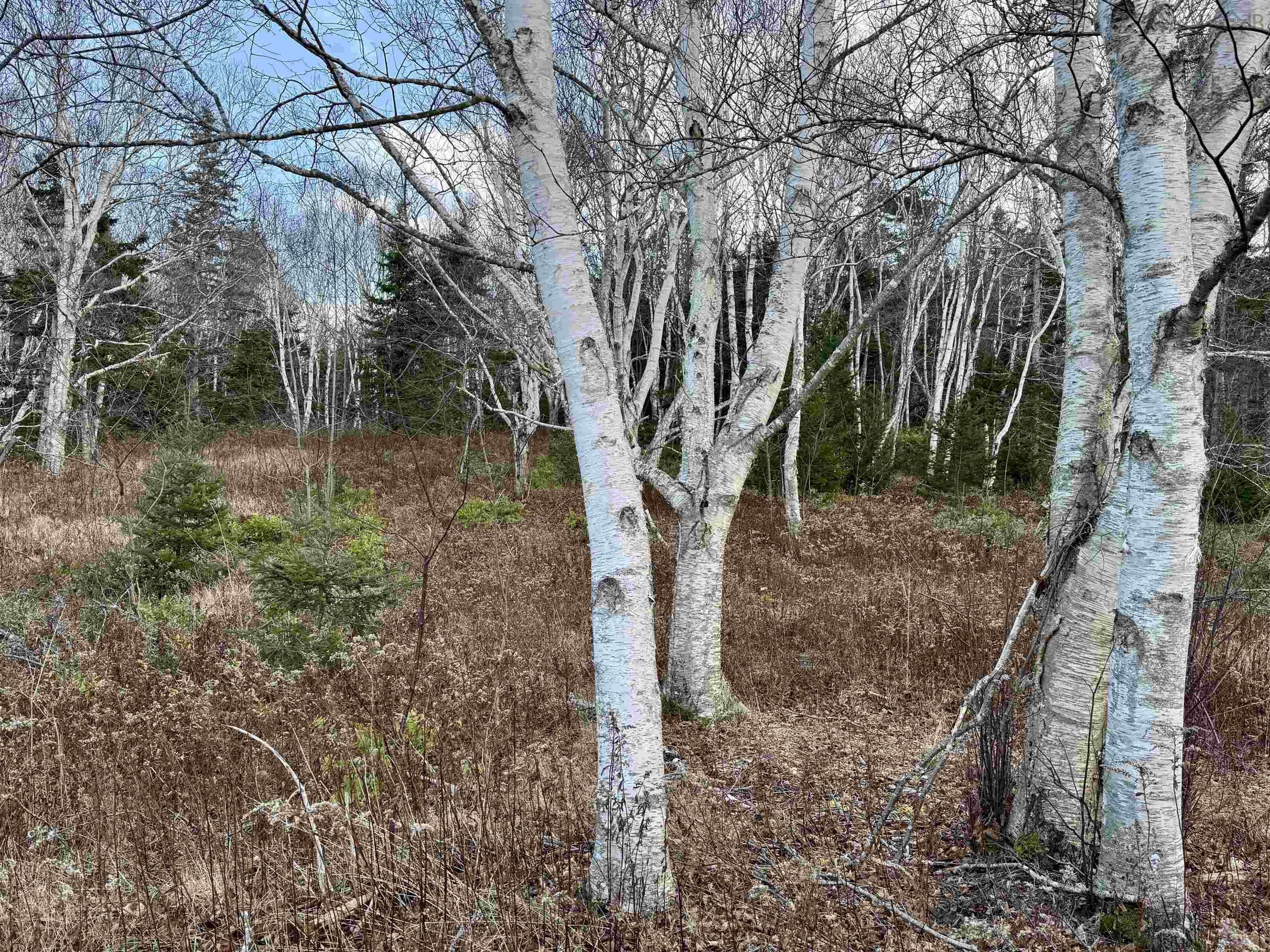 $74,000.00: Lot Highway 104, Irish Cove