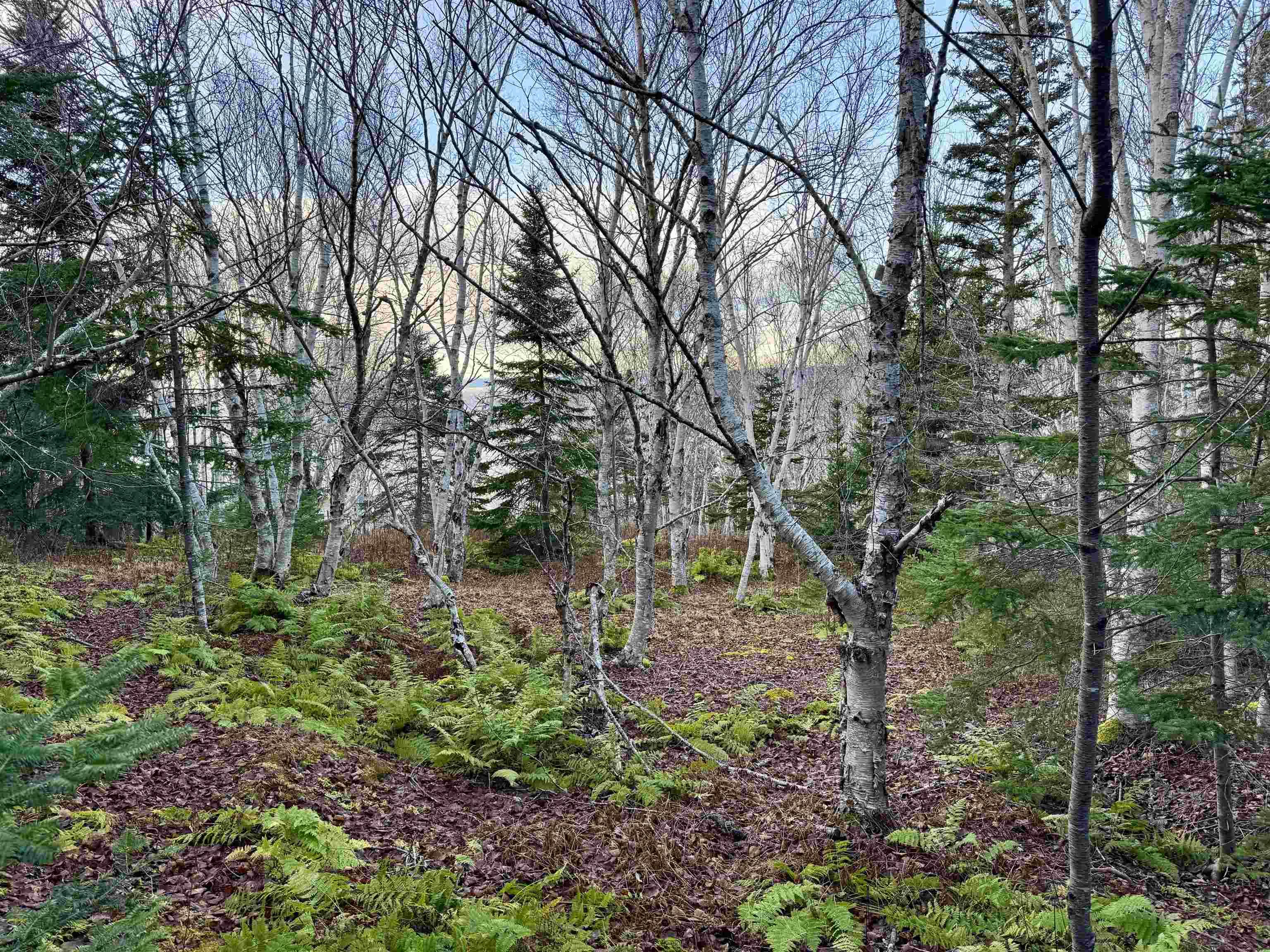 $74,000.00: Lot Highway 104, Irish Cove