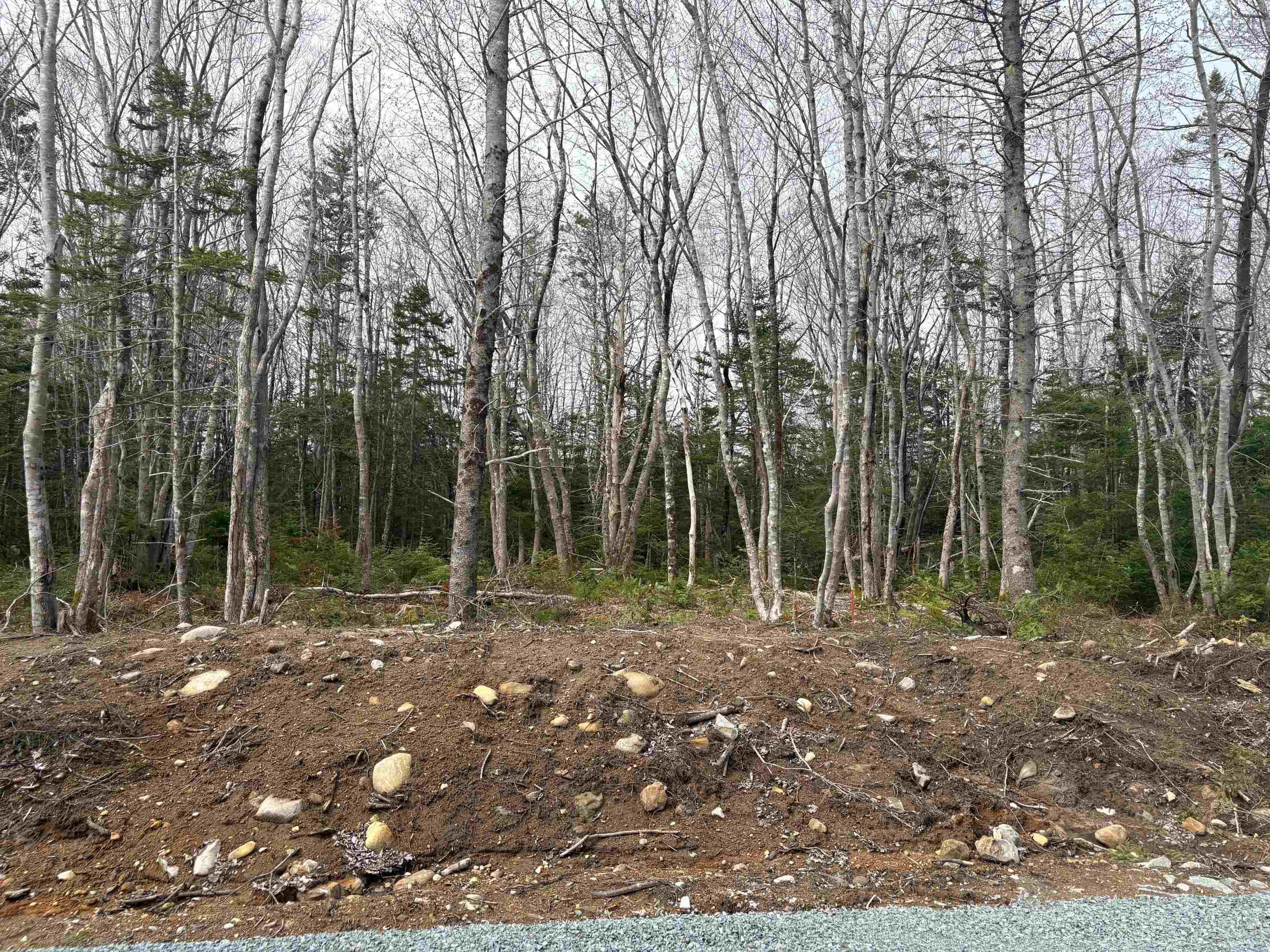 $80,000.00: Lot 7 Larry Seldon Lane, Western Head