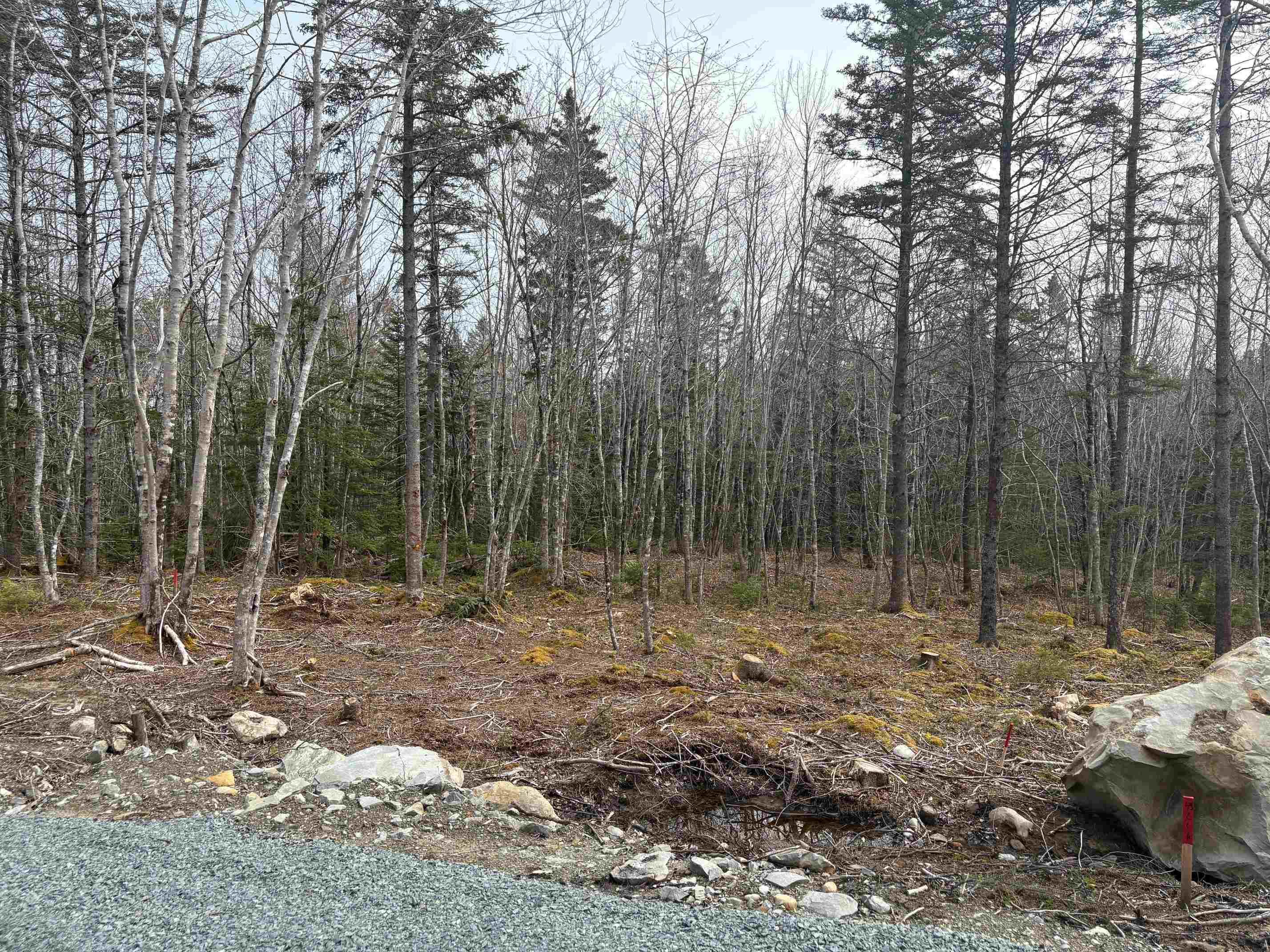 $75,000.00: Lot 4 Larry Seldon Lane, Western Head