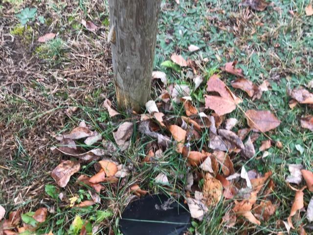 $38,900.00: Lot 3 Nictaux Falls Road, Nictaux Falls