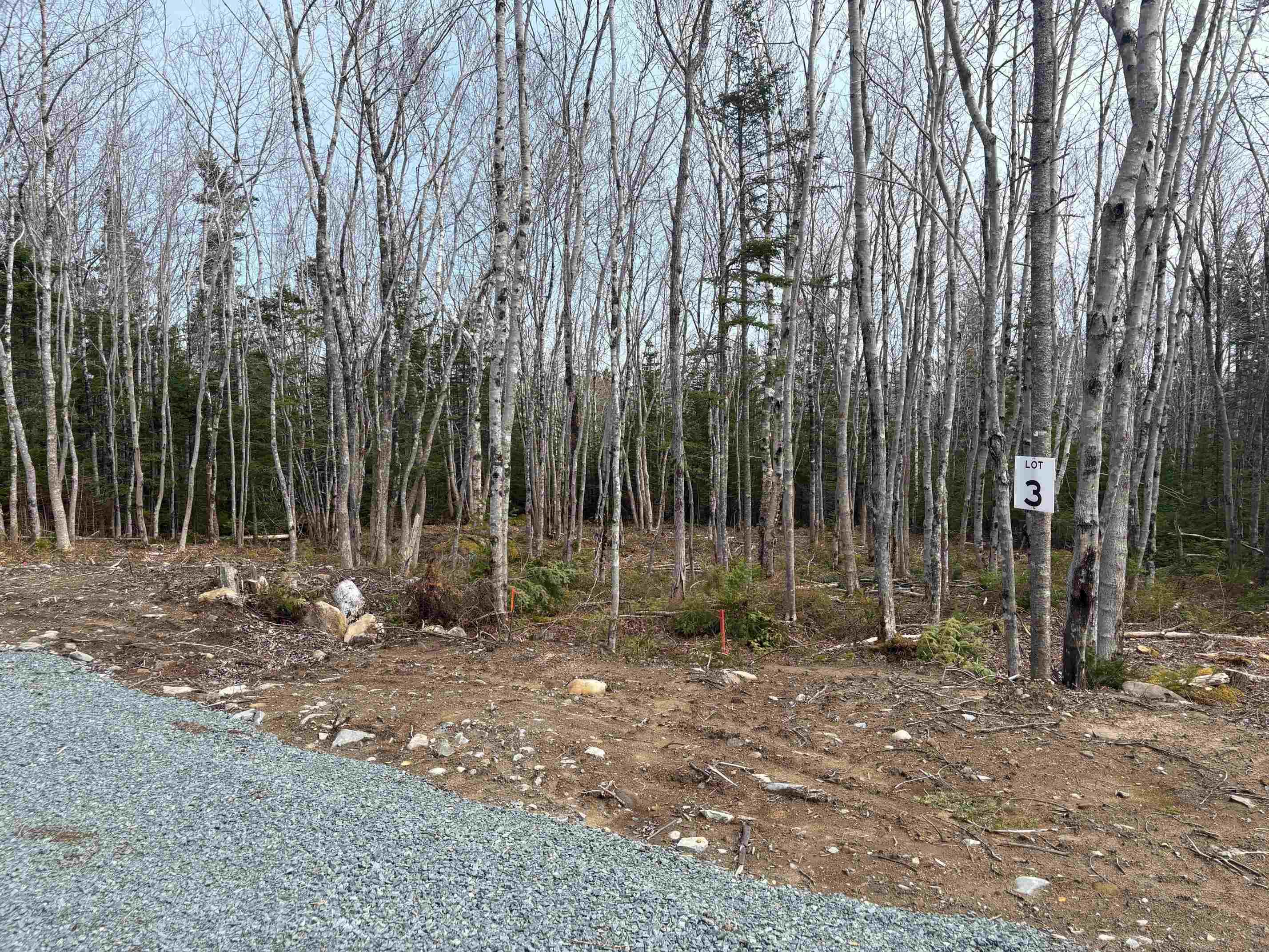 $70,000.00: Lot 3 Larry Seldon Lane, Western Head