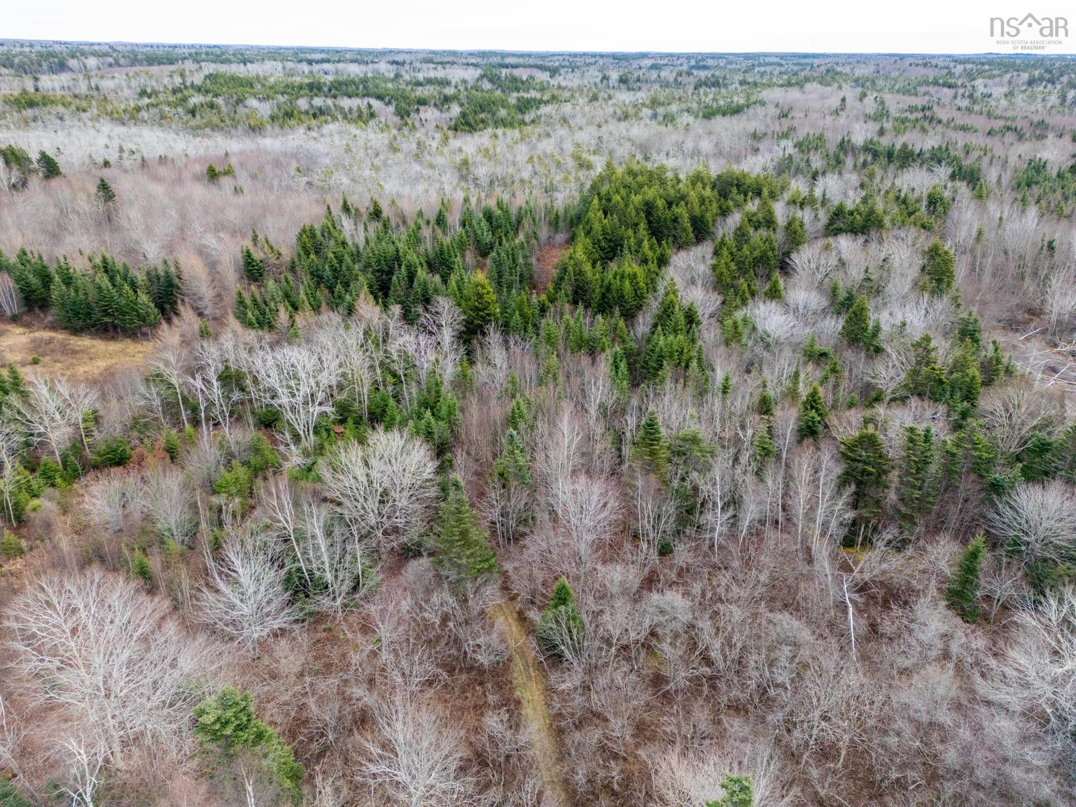 $30,000.00: Lots Boudreau Branch Road, Church Point