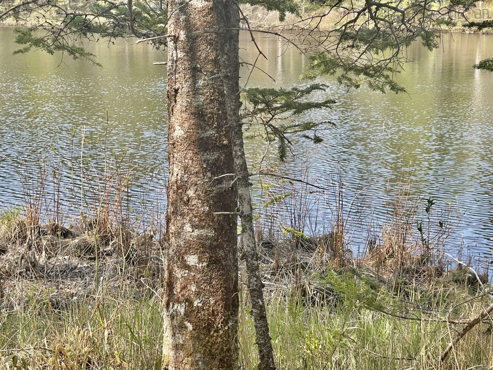 $129,000.00: Lot 3 Pigott Lake Road, Lakelands