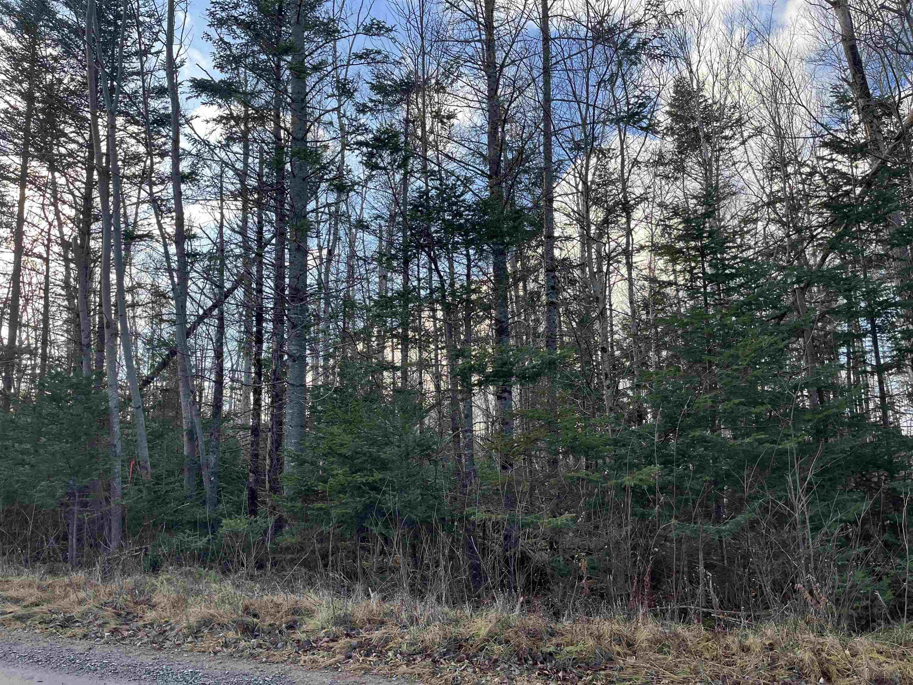 $13,000.00: 9B Evergreen Rise, New Russell