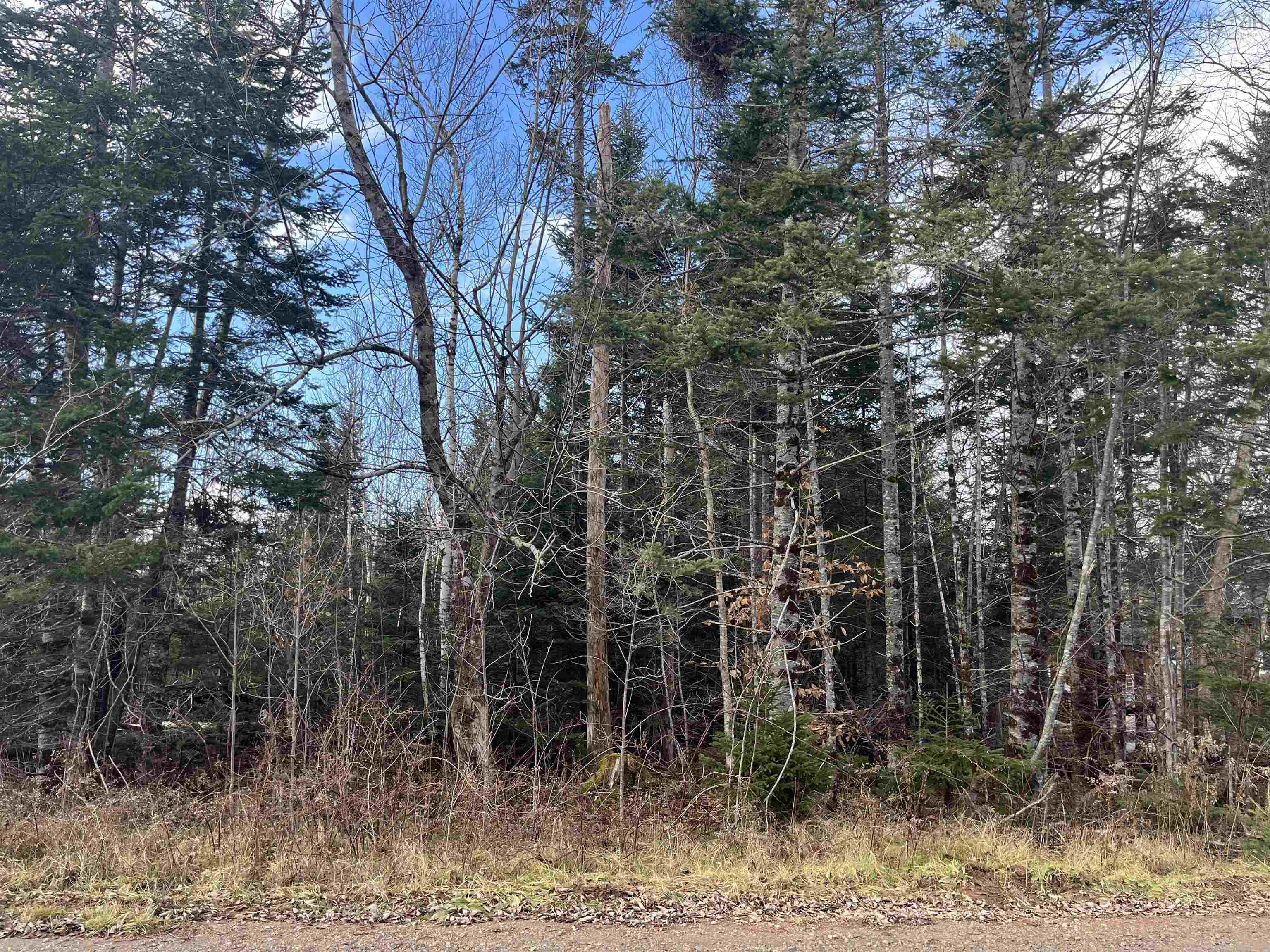 $13,000.00: 9B Evergreen Rise, New Russell