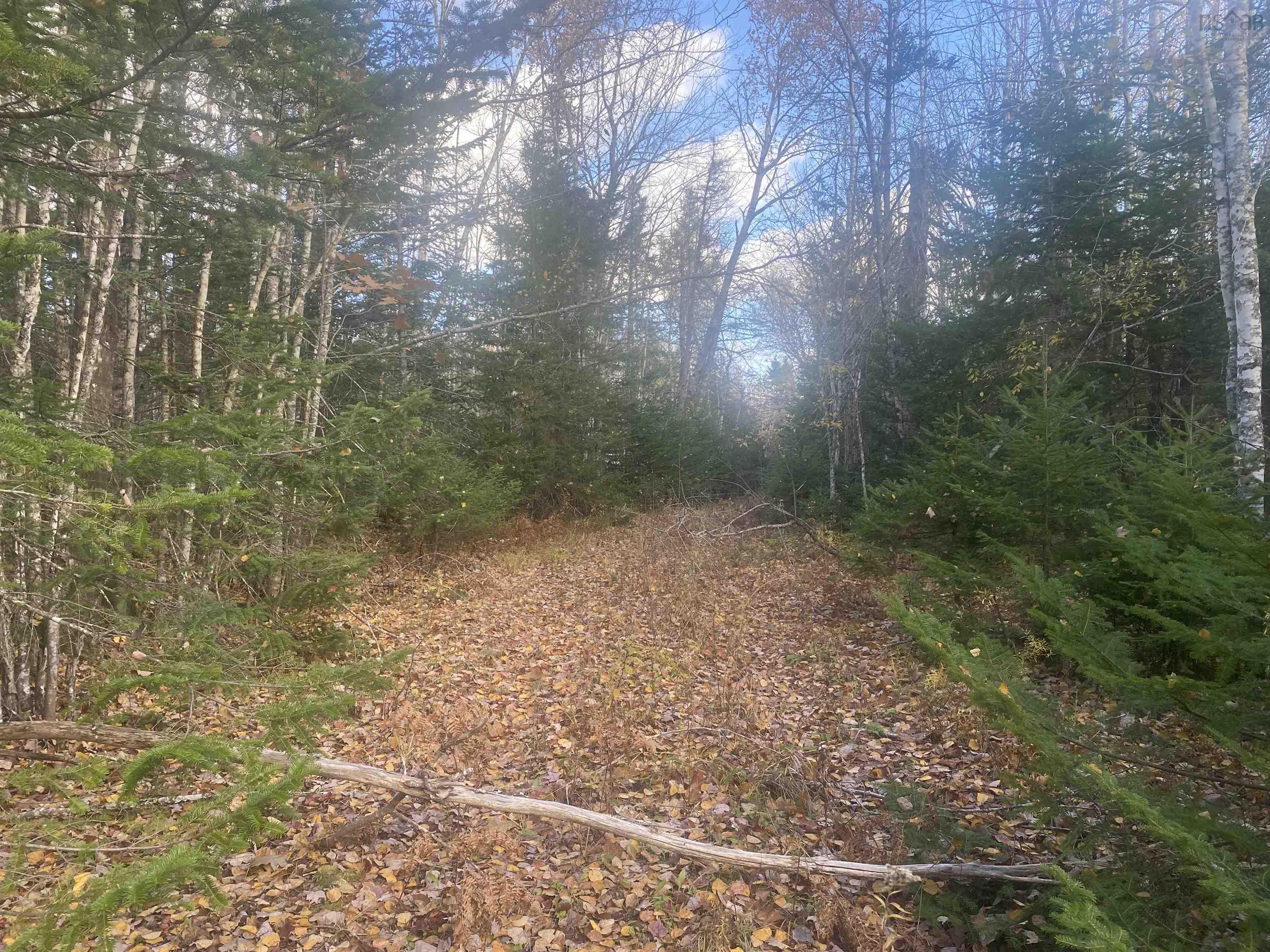 $28,900.00: 248 Highland Road, West Tatamagouche