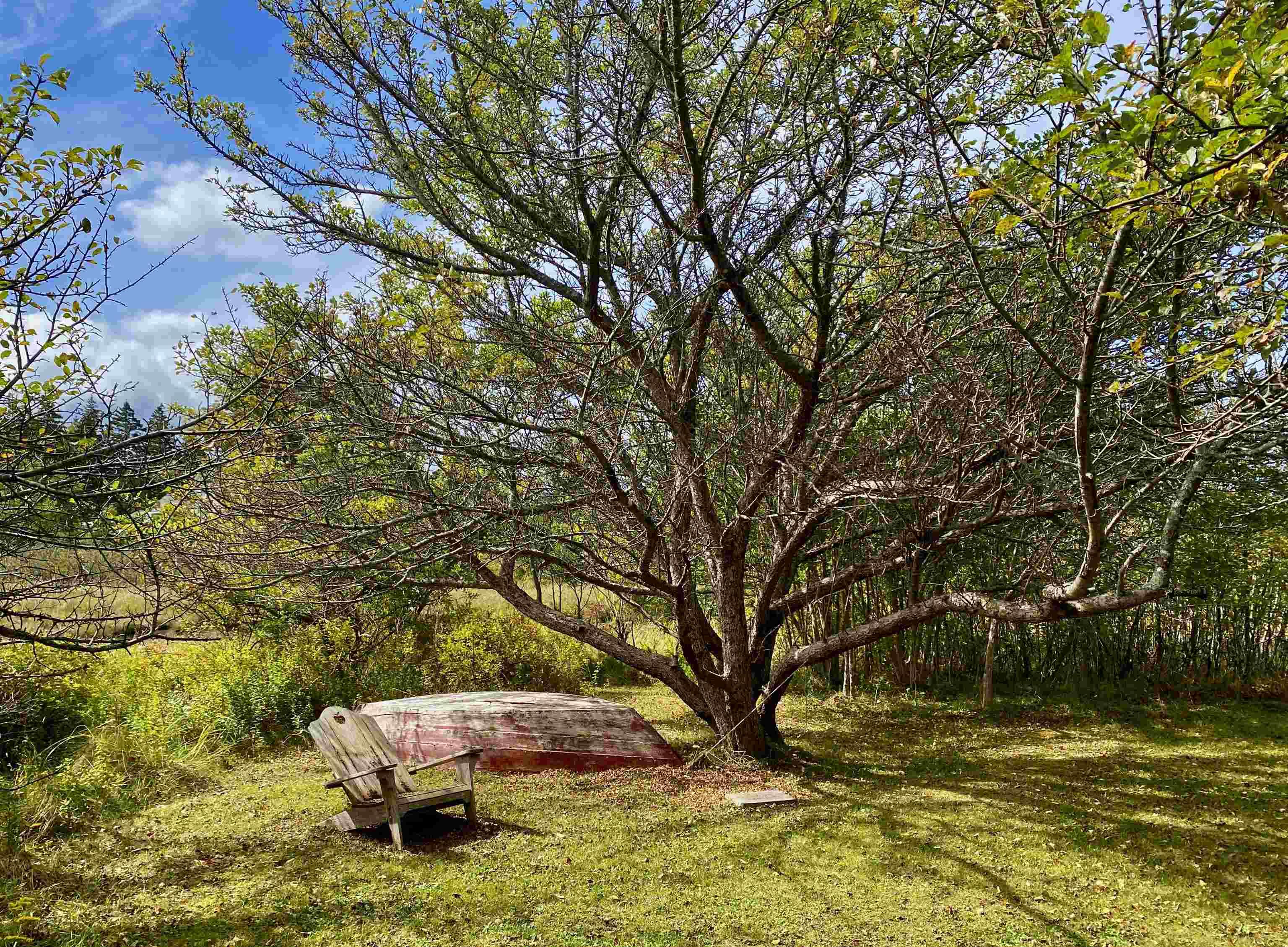 $1,599,000.00: 359 Long Cove Road, Port Medway