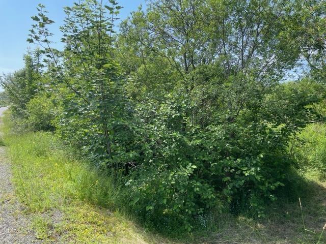 $34,900.00: Lot 17 Hilltop Crescent, Baddeck